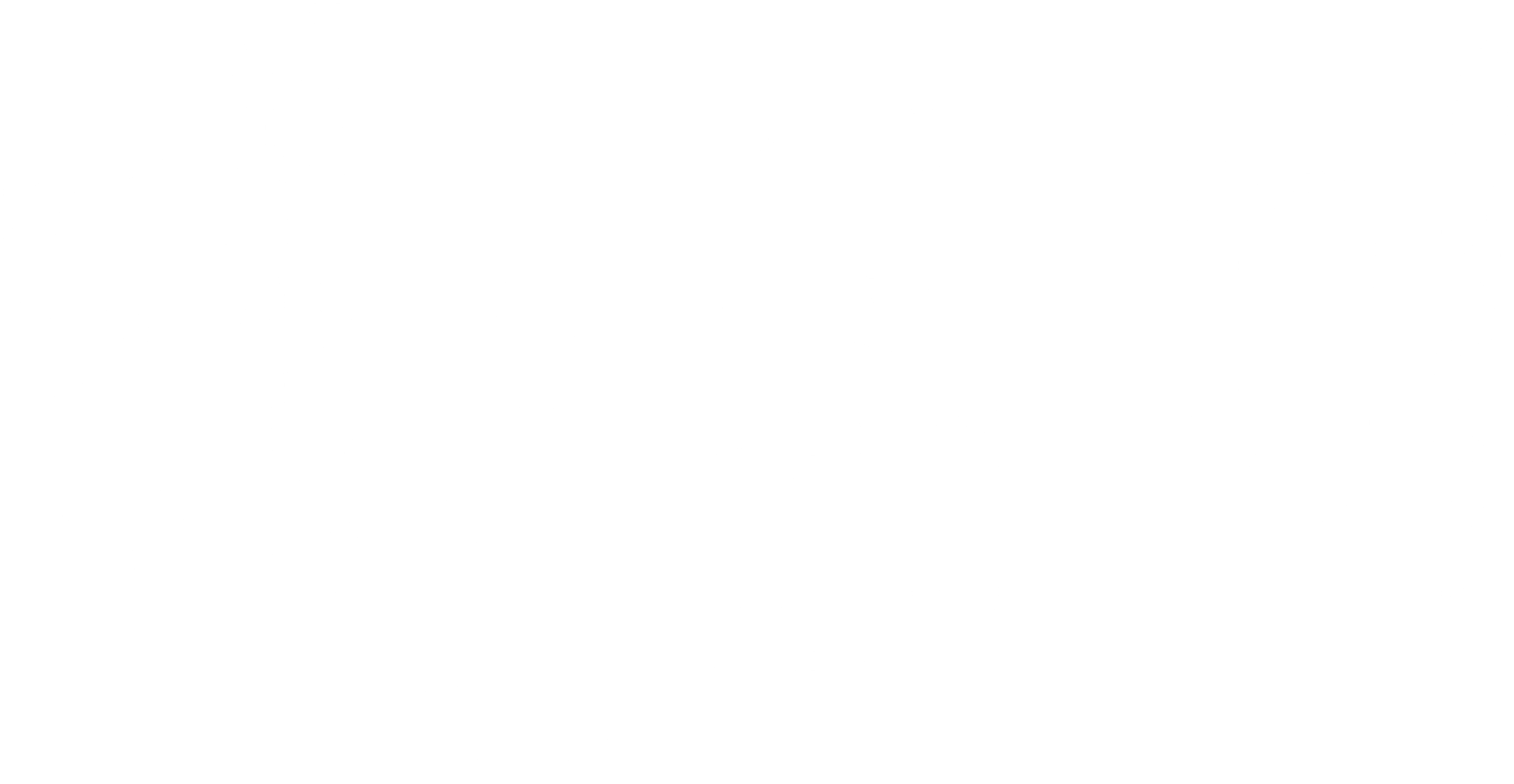 테스트 미