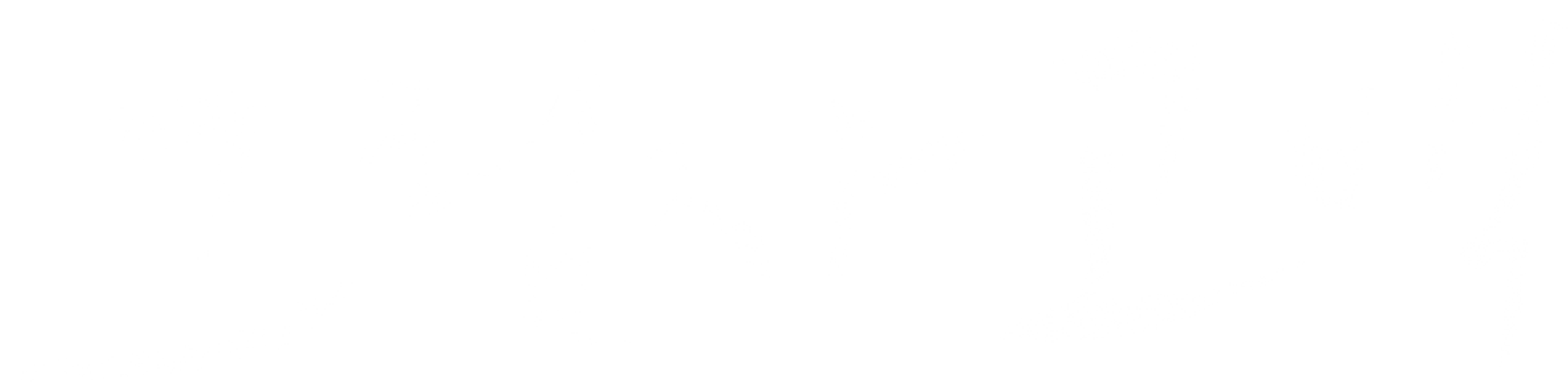 그림자 고백