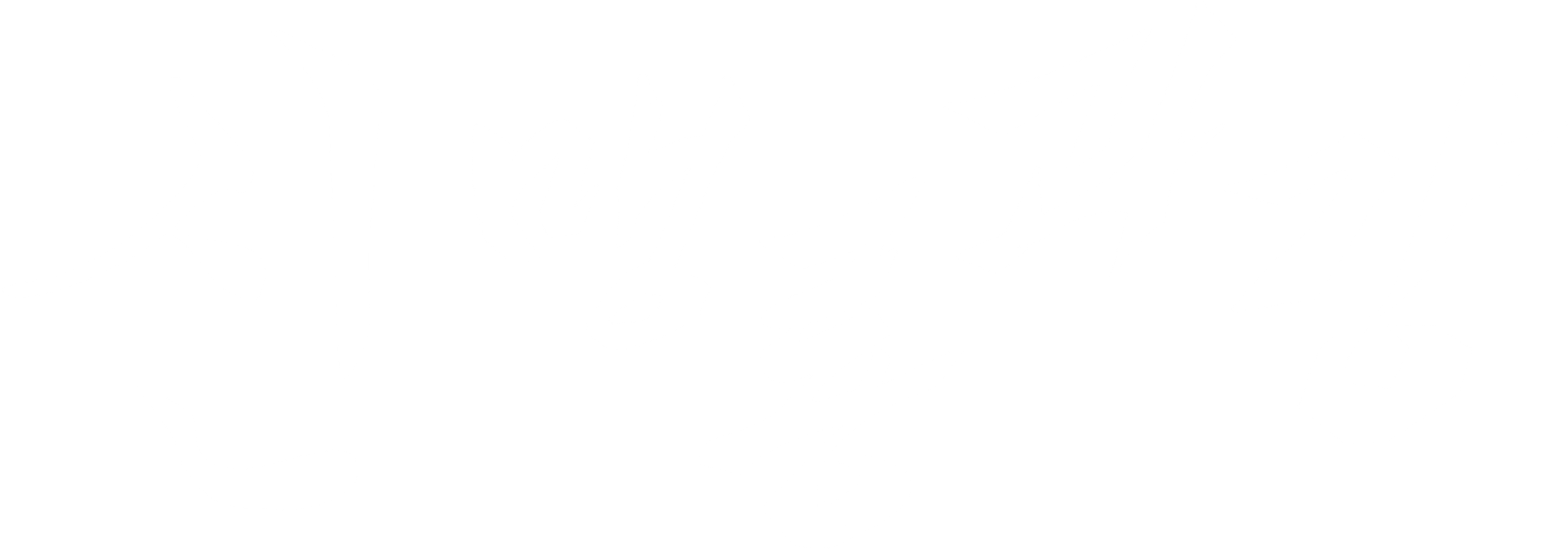 신맹룡과강