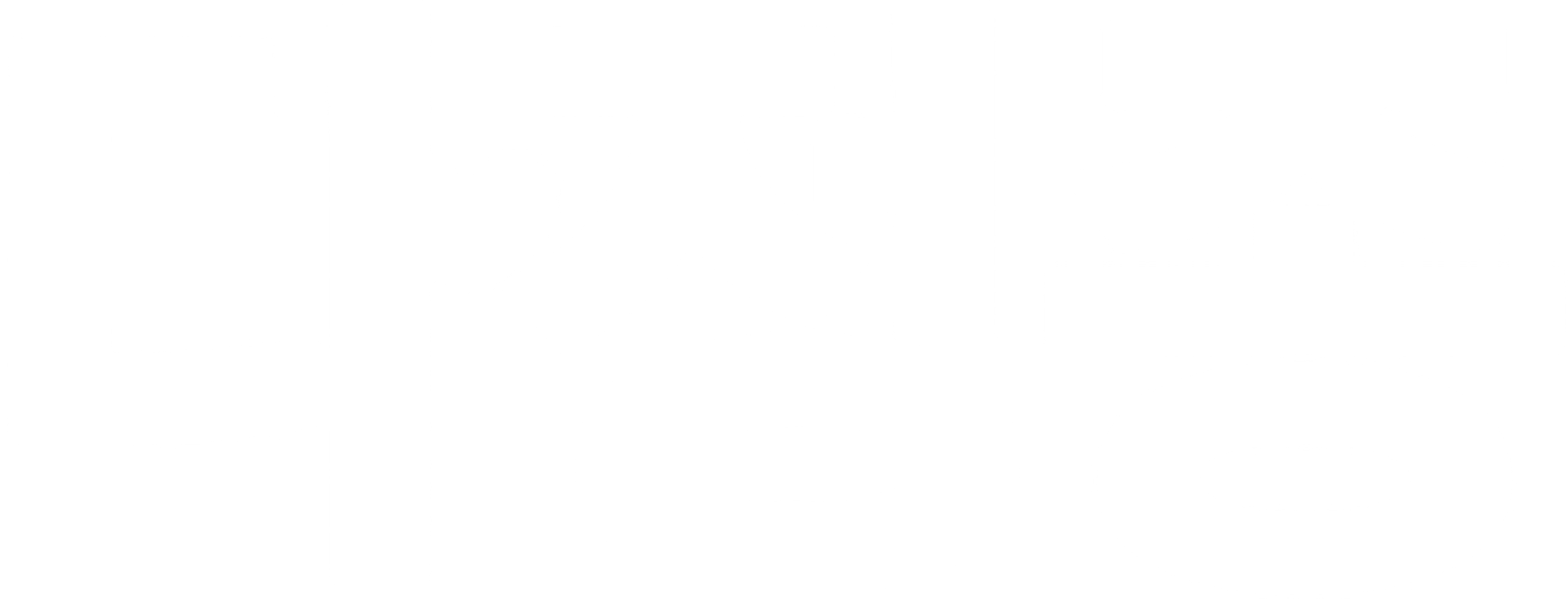 다정종