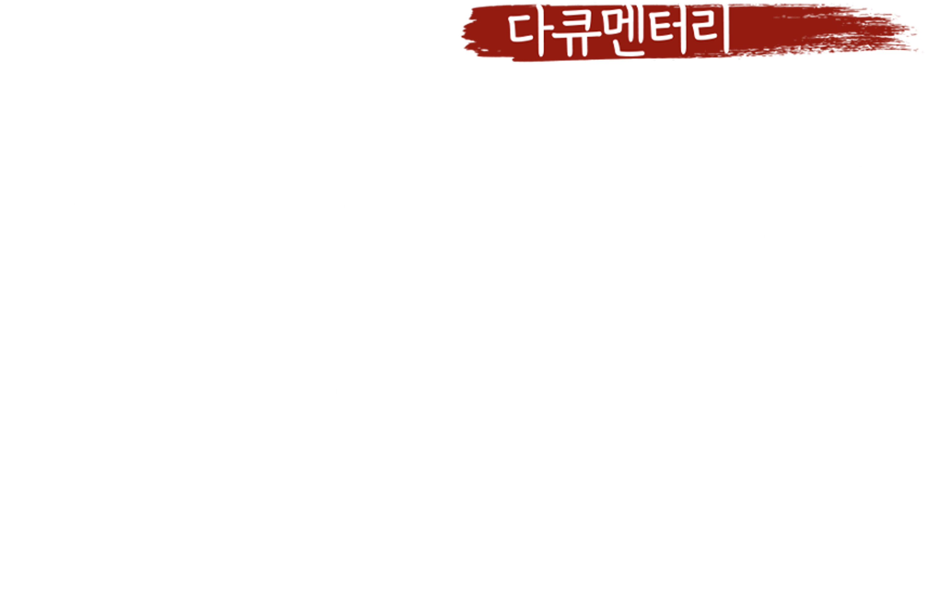 다큐멘터리 장날