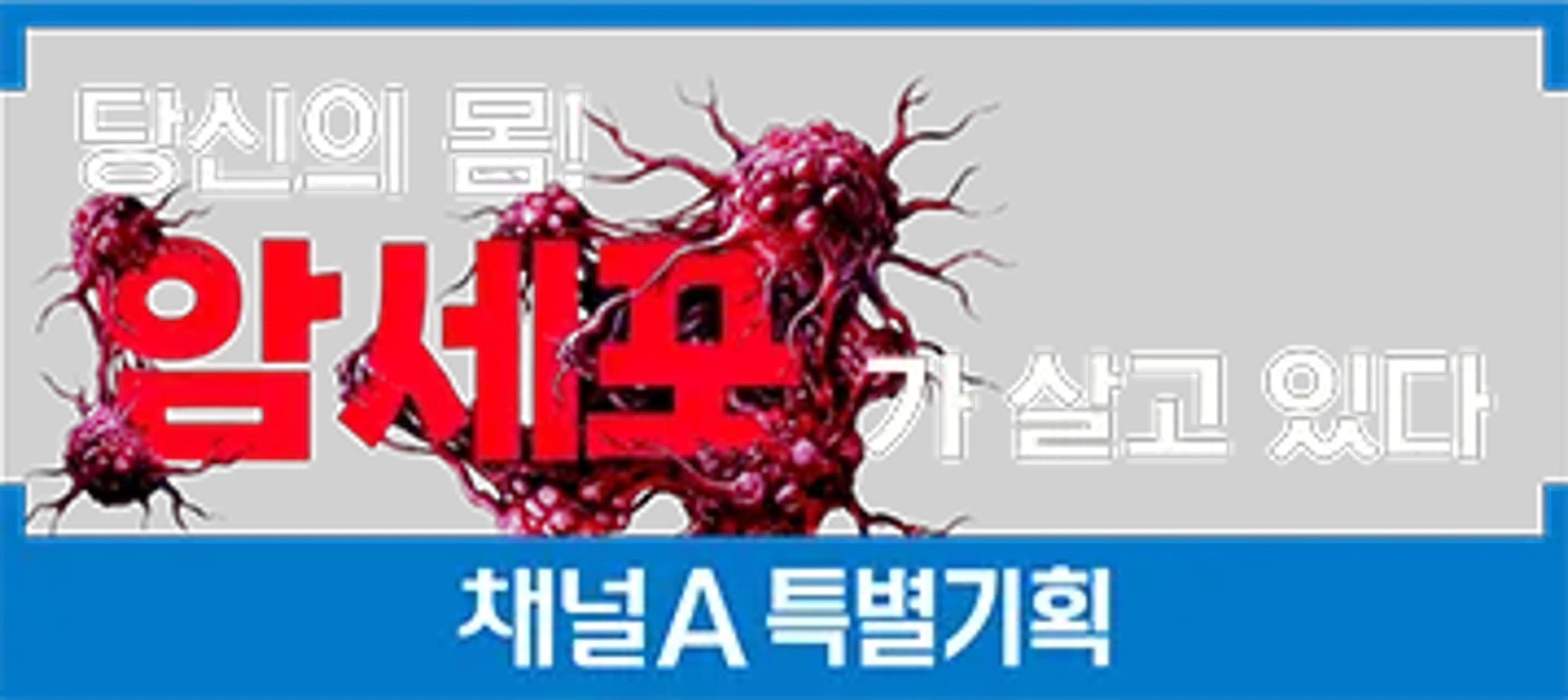 특별기획 당신의 몸! 암세포가 살고 있다