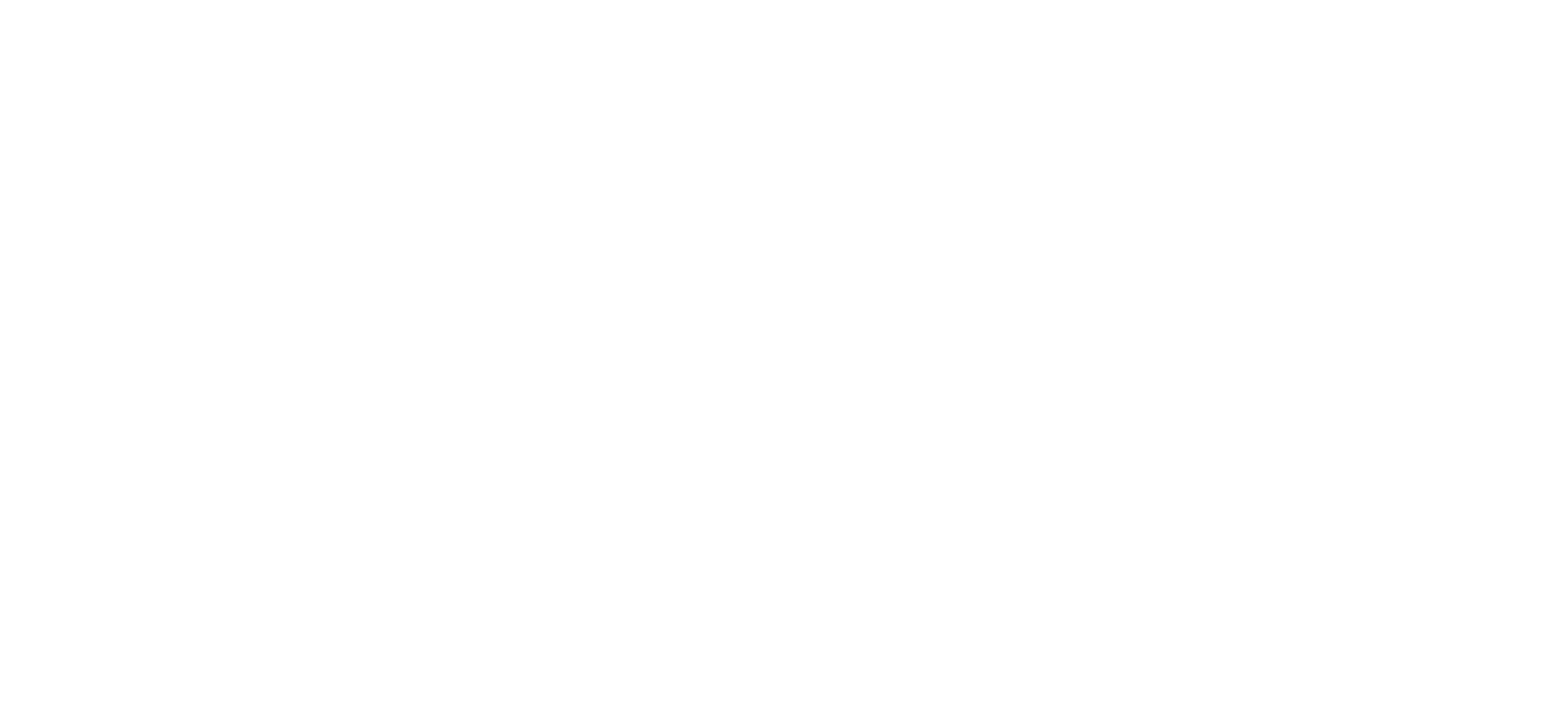 패러독스