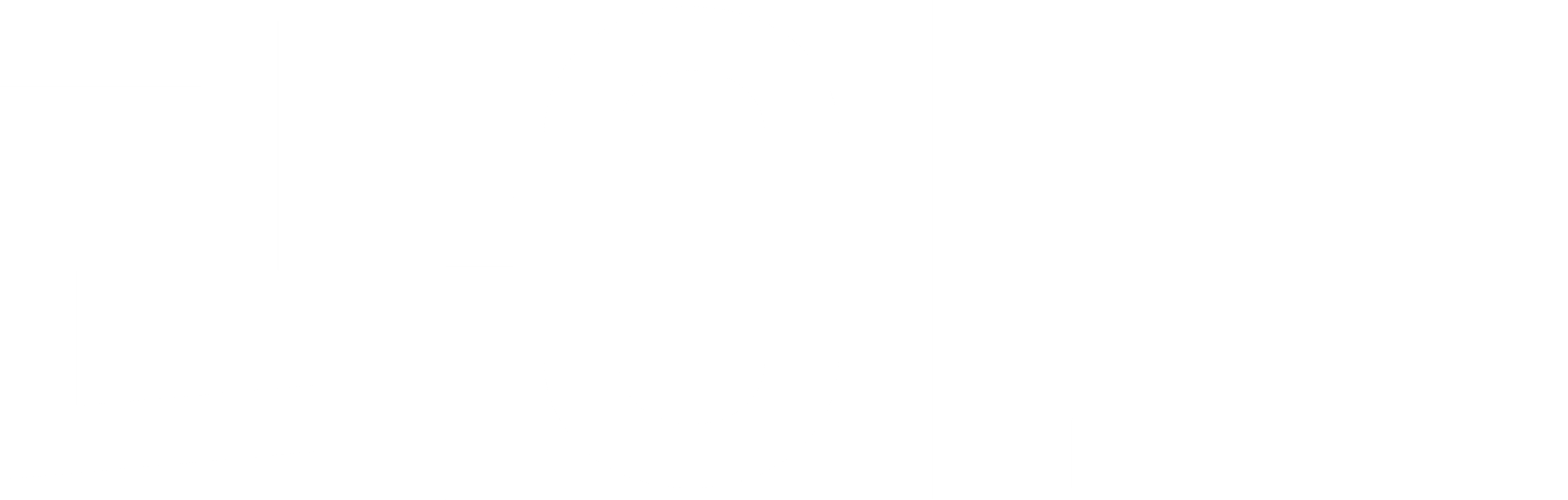 라이드