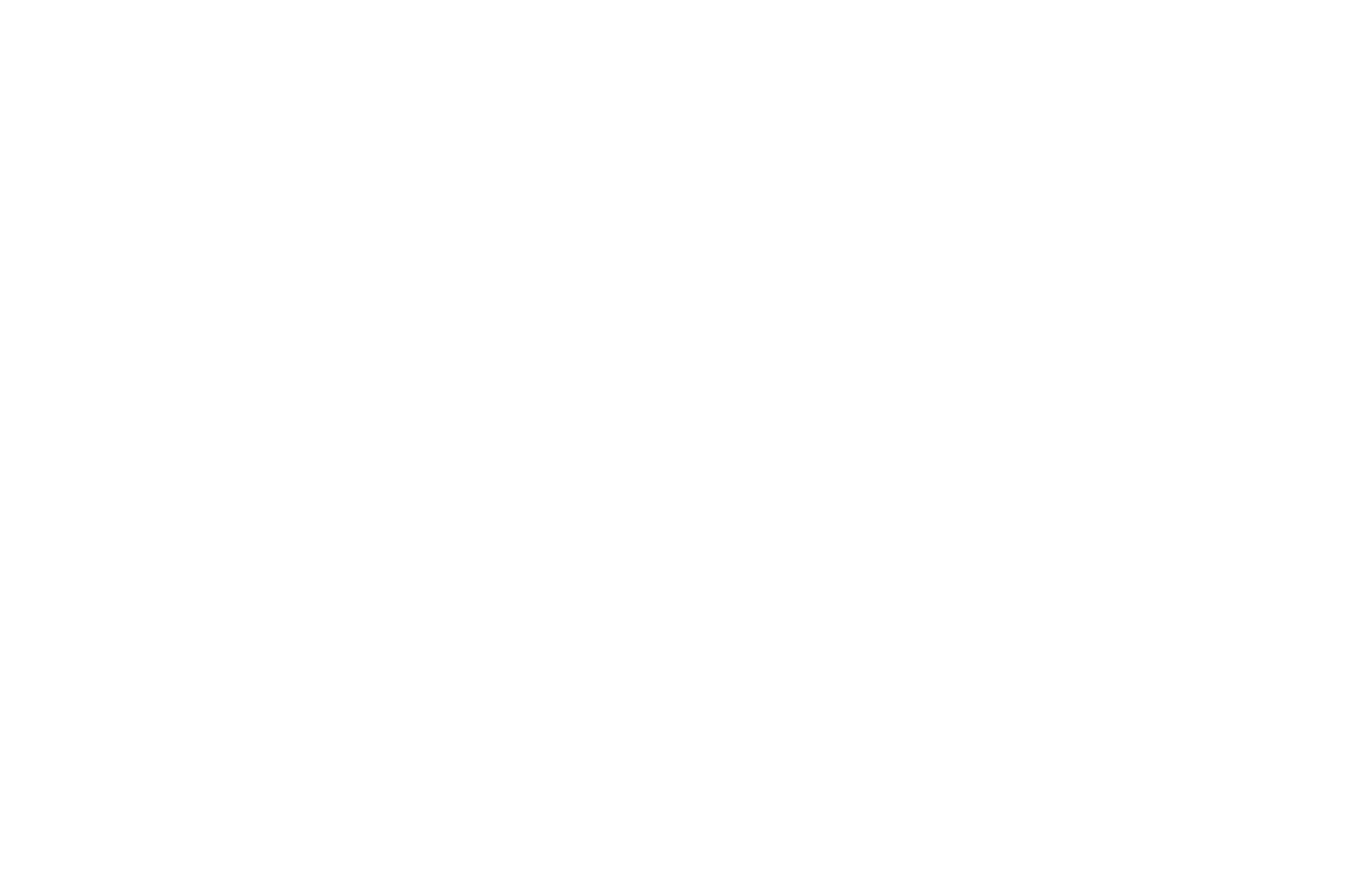 폭죽