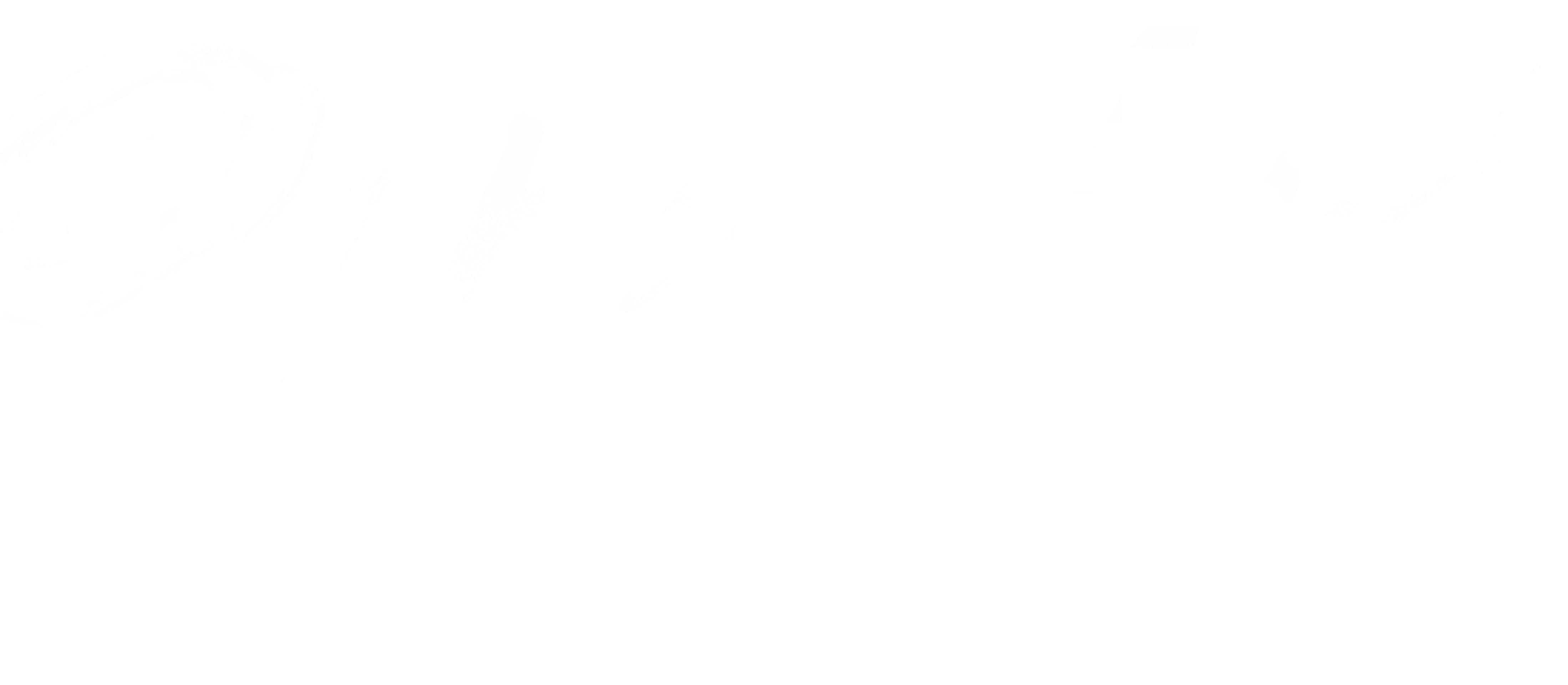 여자의 아내