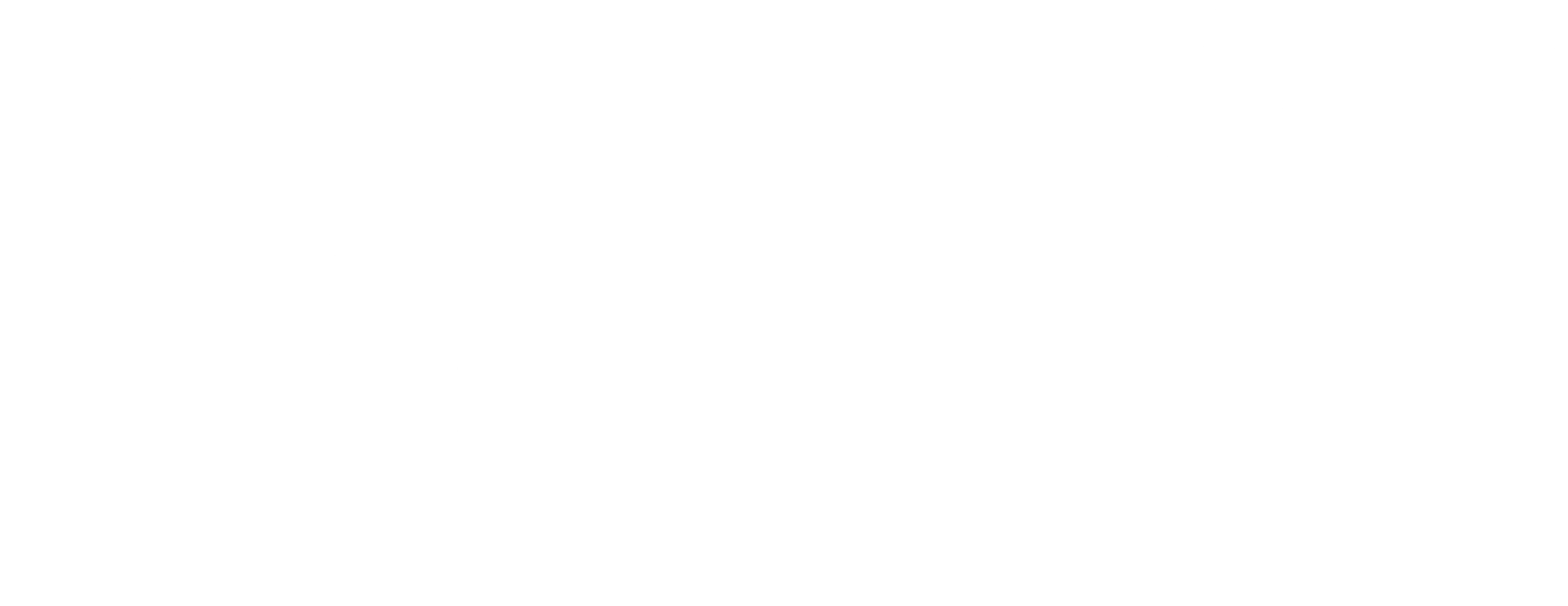 355