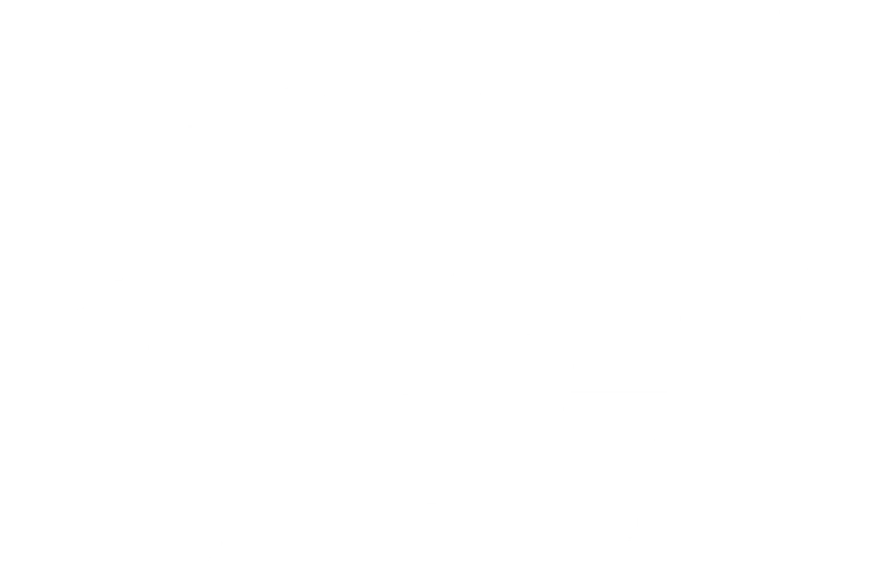 구조견 루비