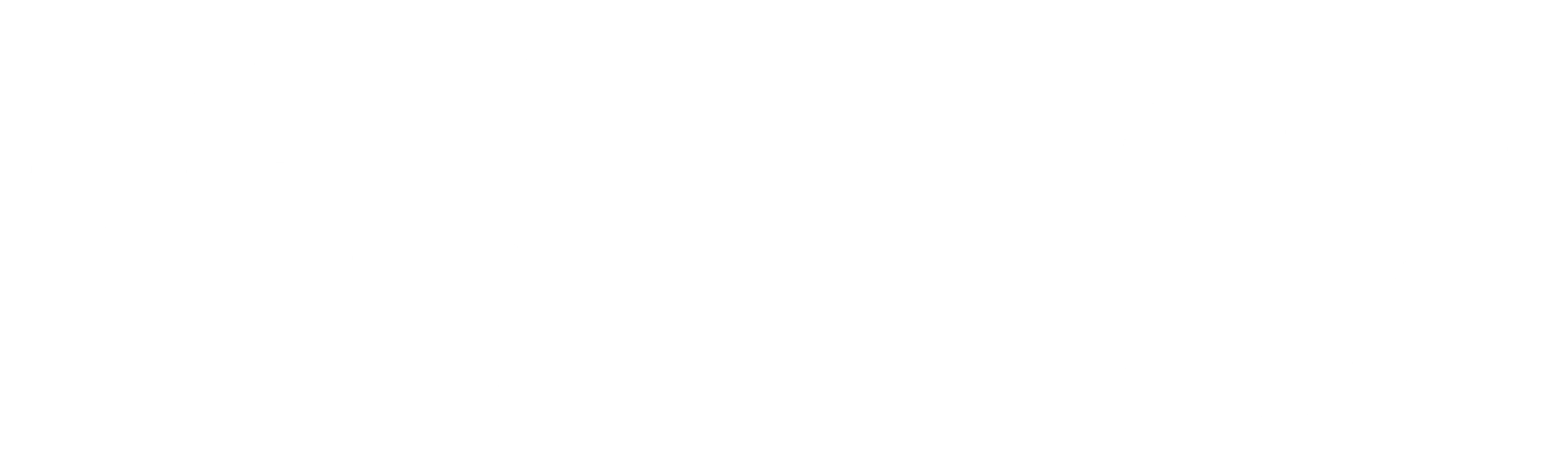 화이트 타이거