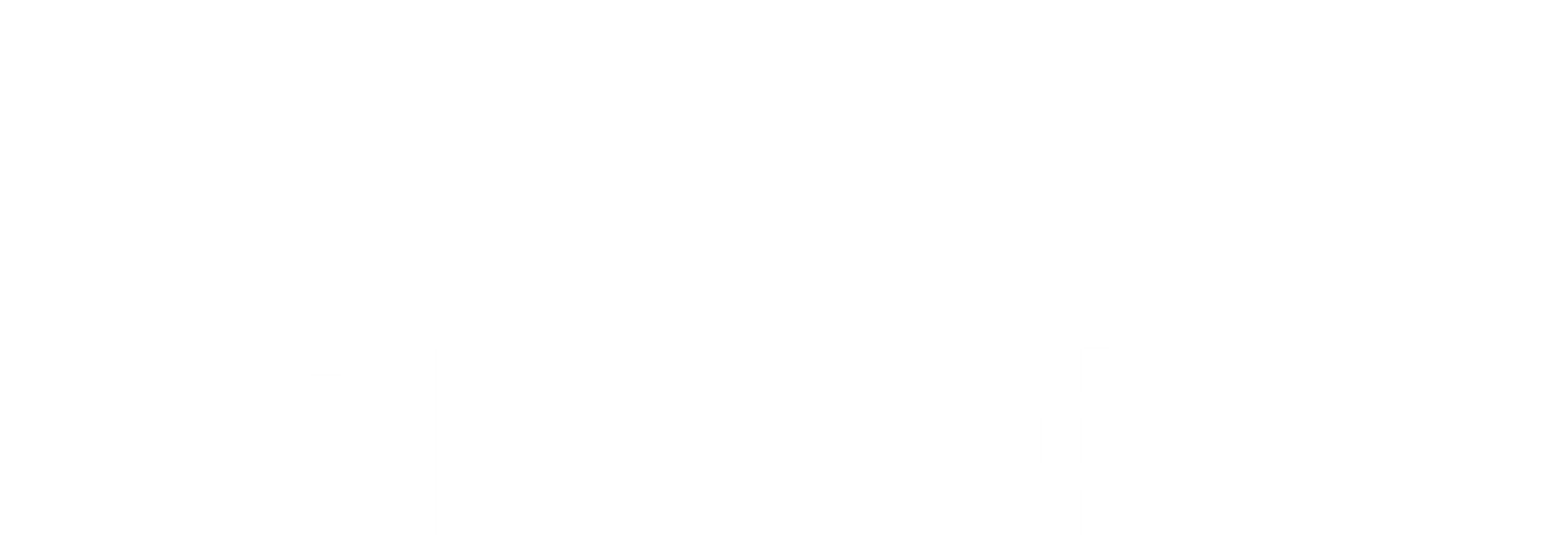 알랭 뒤카스: 위대한 여정