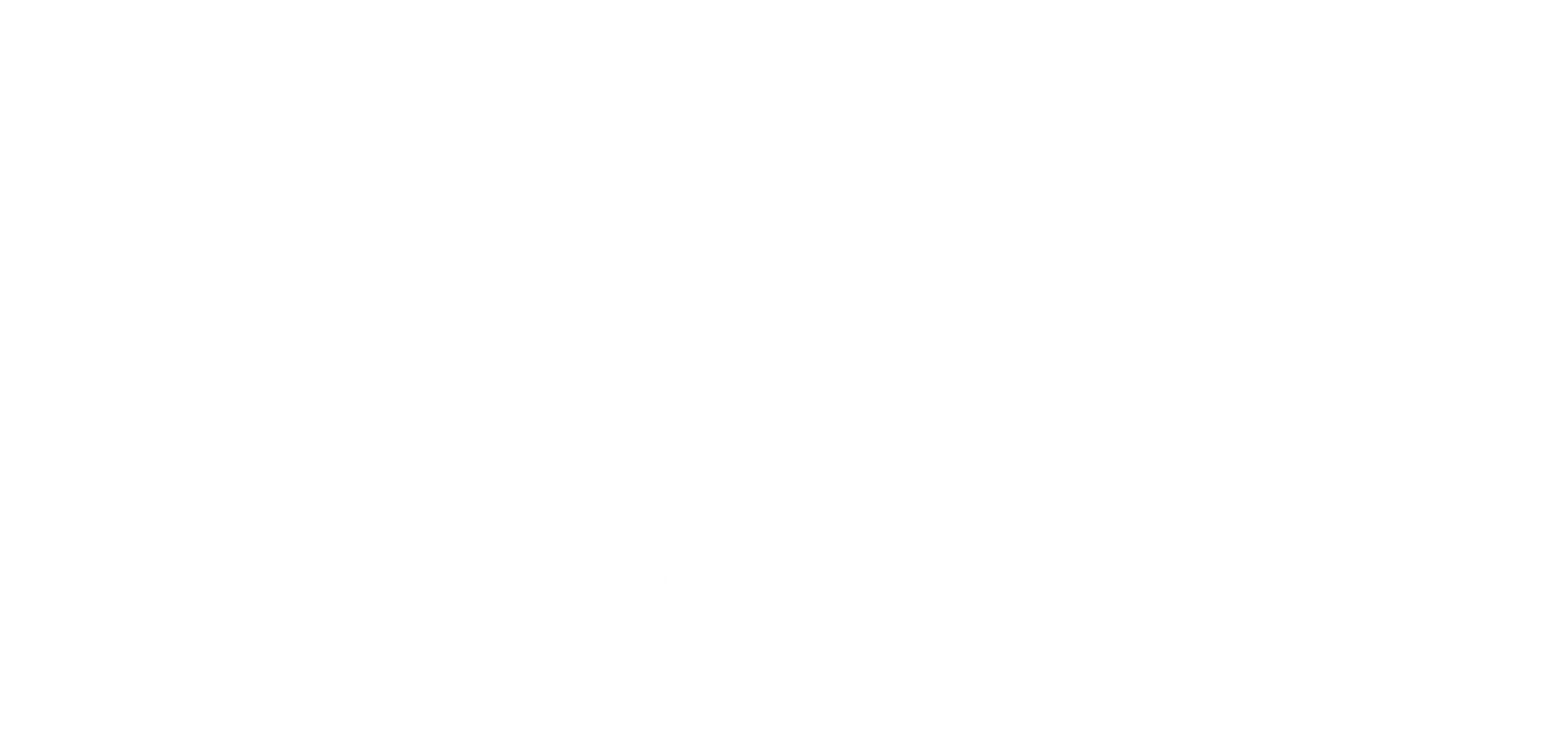 다운폴: 더 보잉 케이스