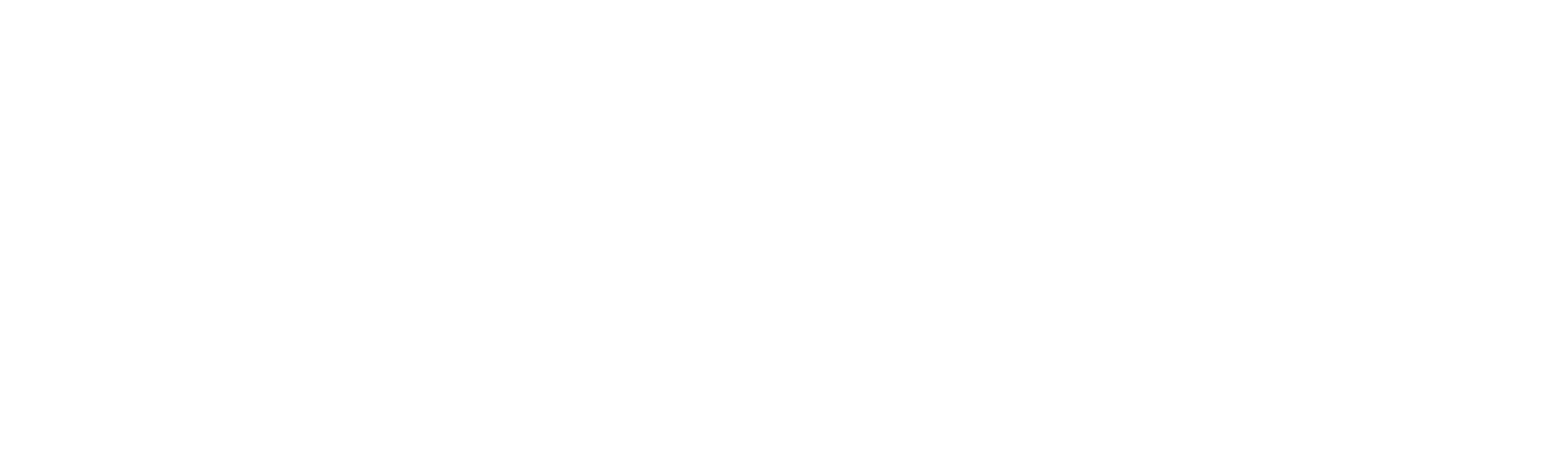 사주왕
