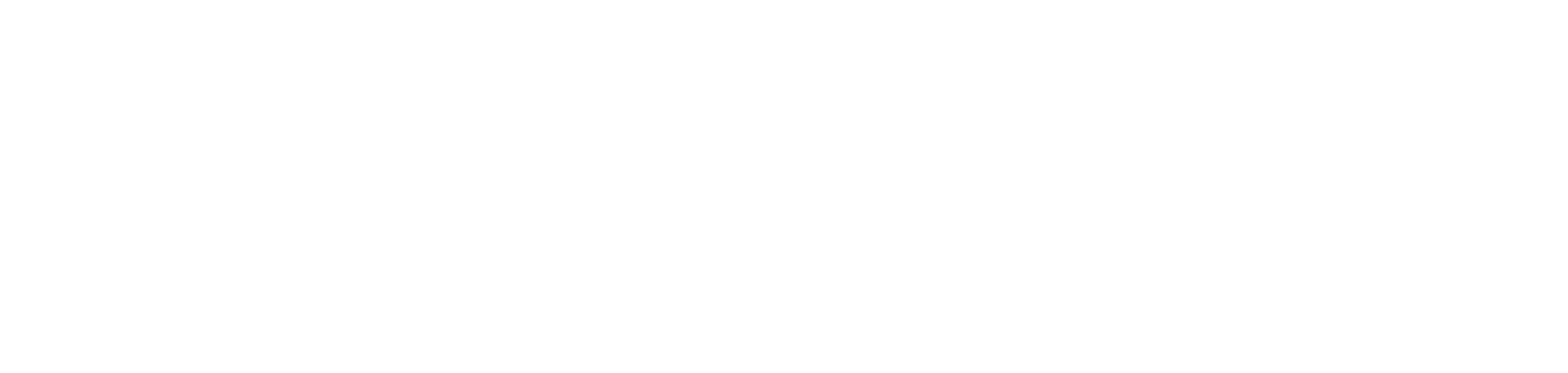 핸섬을 찾아라