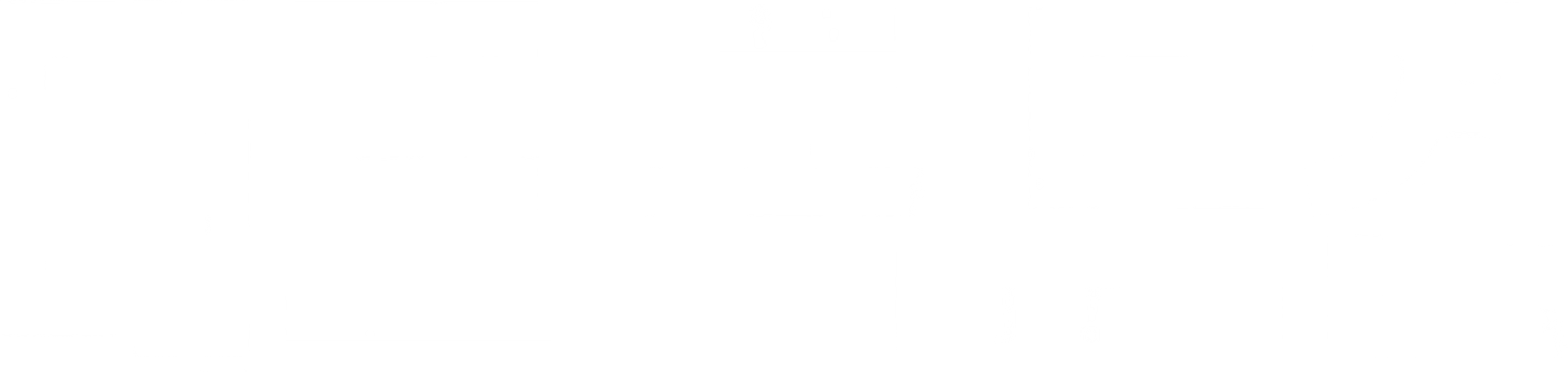 매드 독 모건