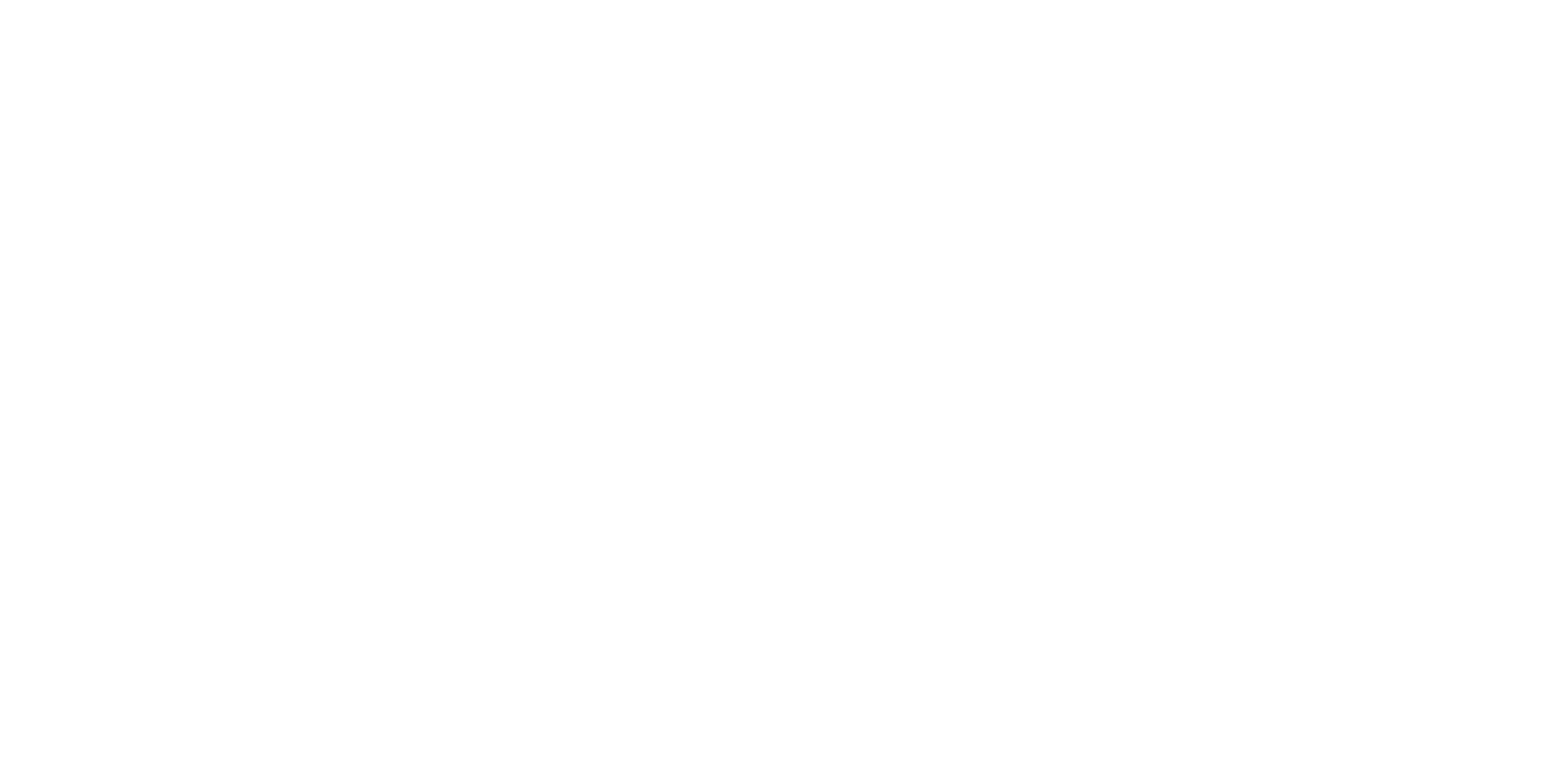 수류