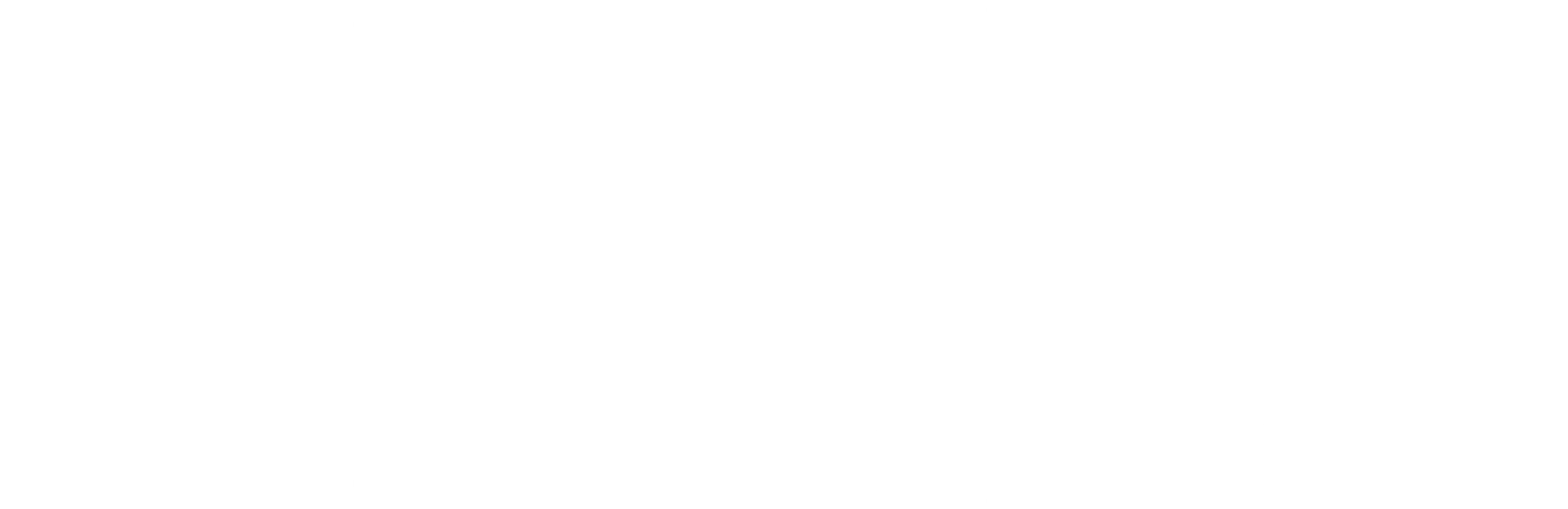 이비자