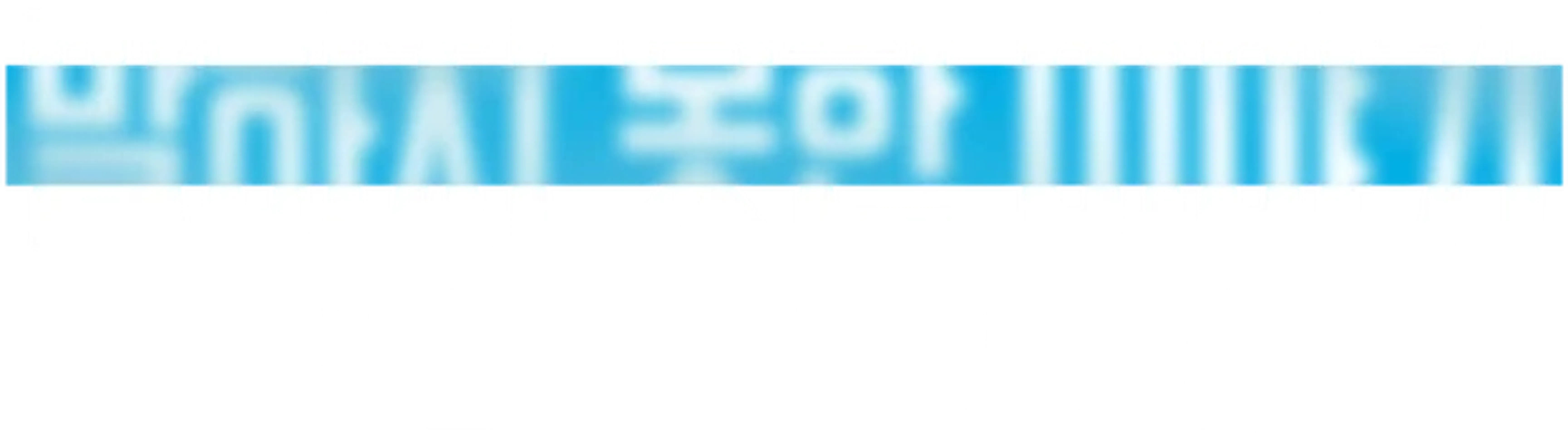 말하지 못한 이야기: 죄와 벌 그리고 하키