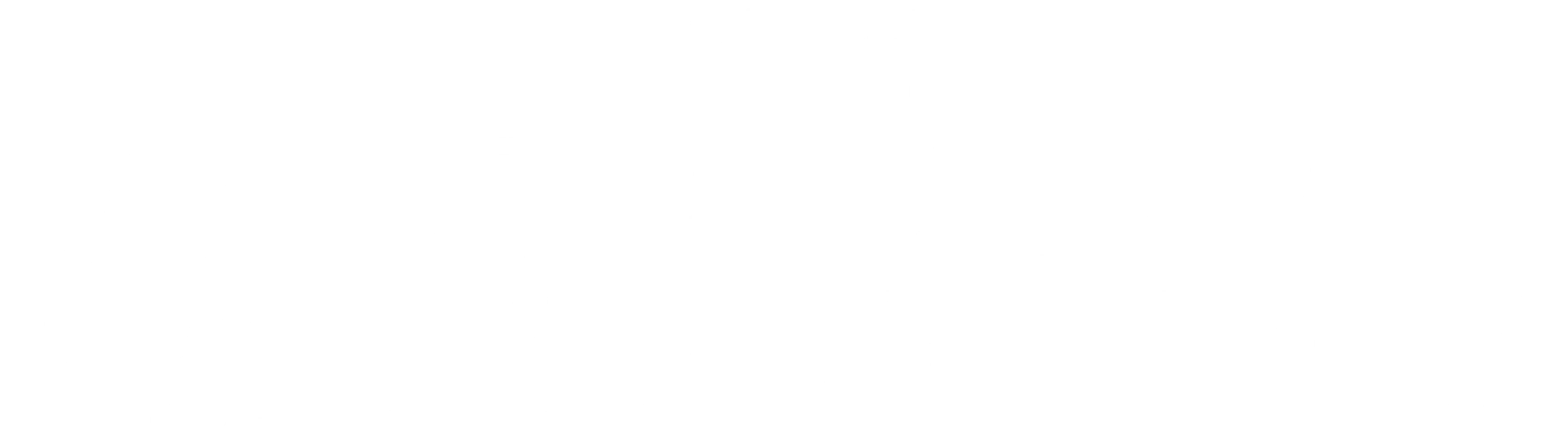 아비치: 내 이름은 팀