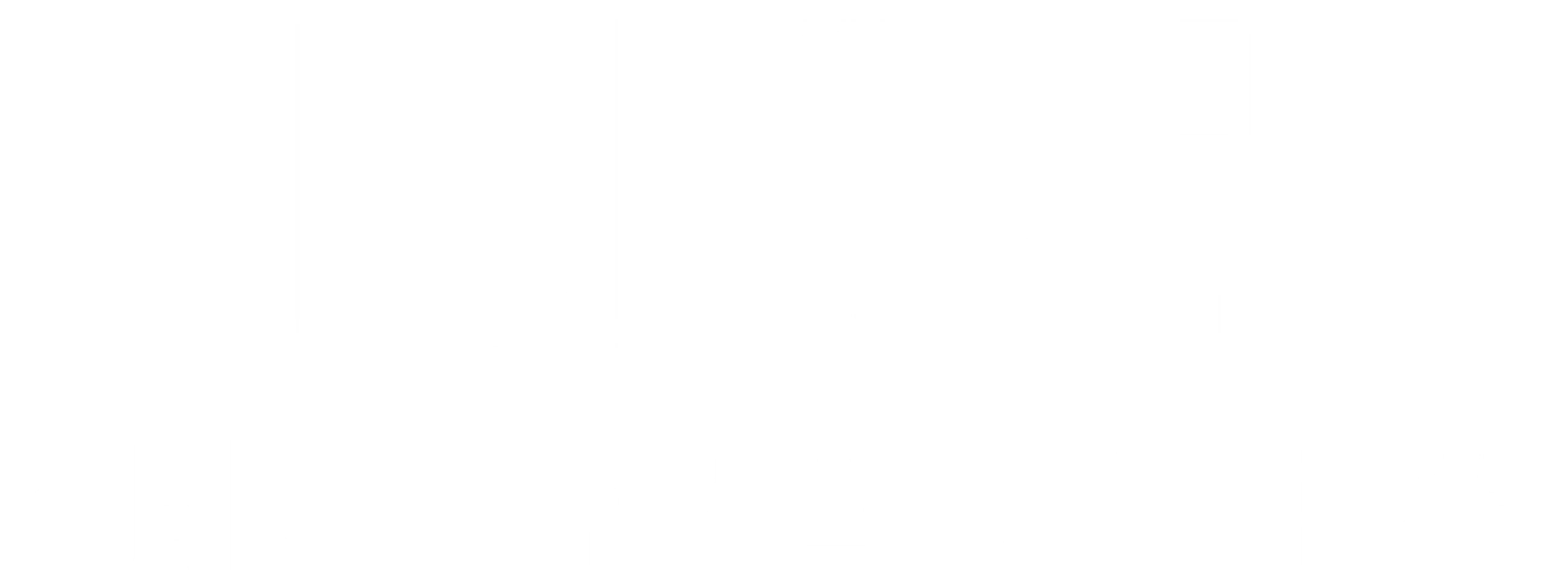 나의 피부로