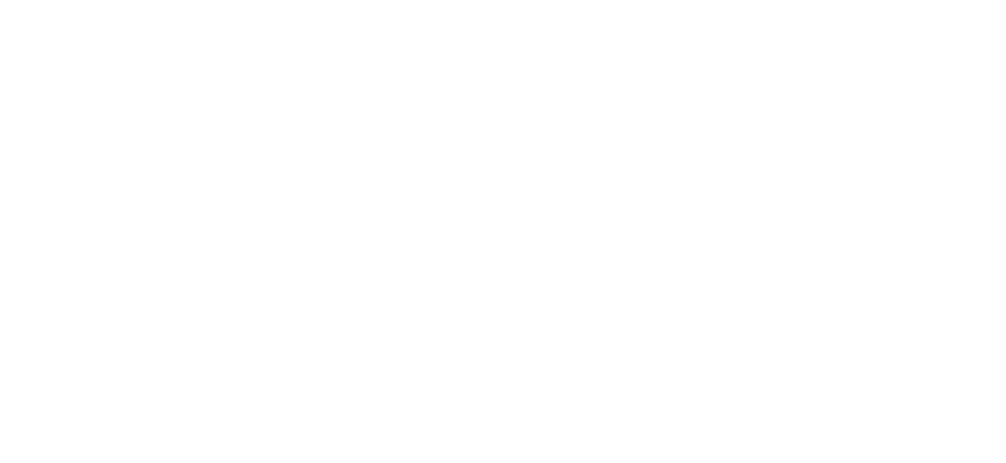 패들턴