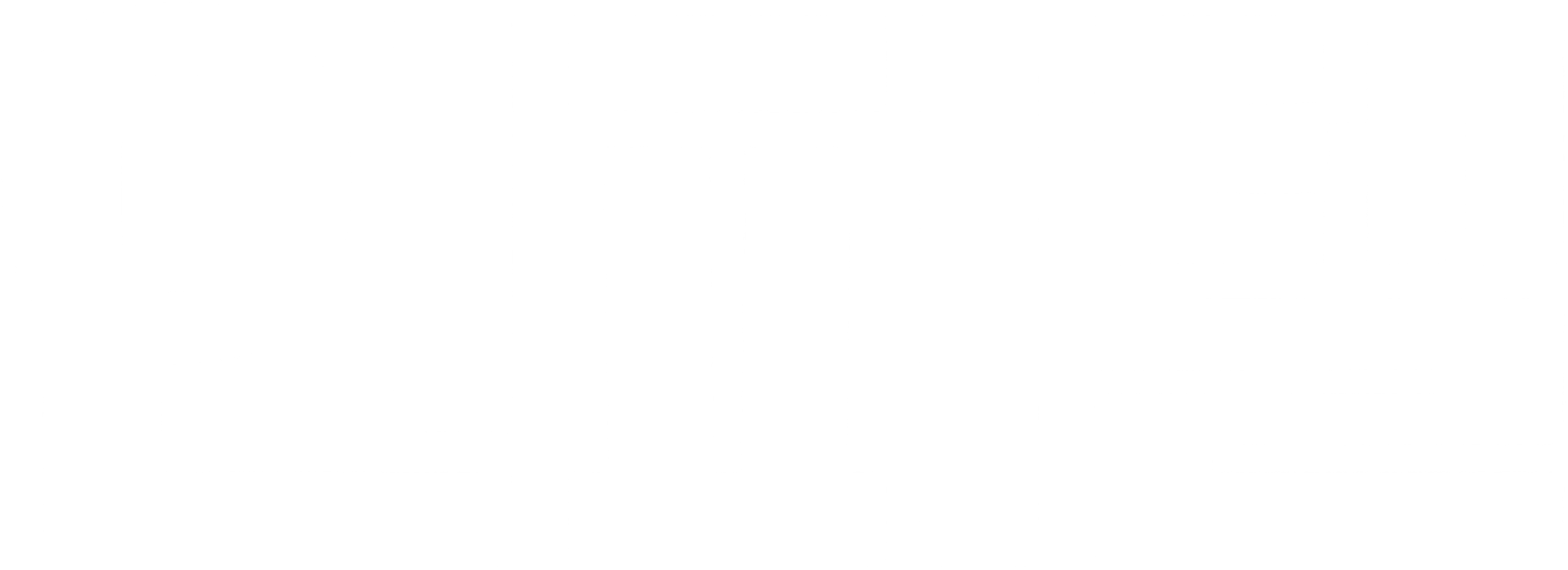 인피델