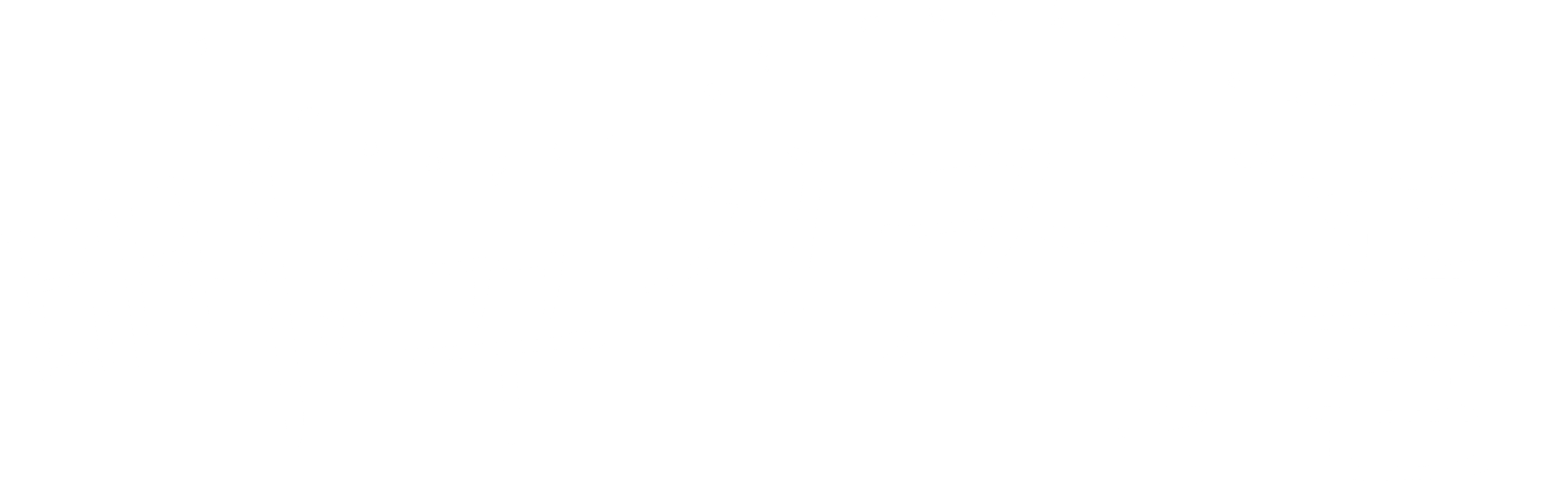 뻐꾸기 커플
