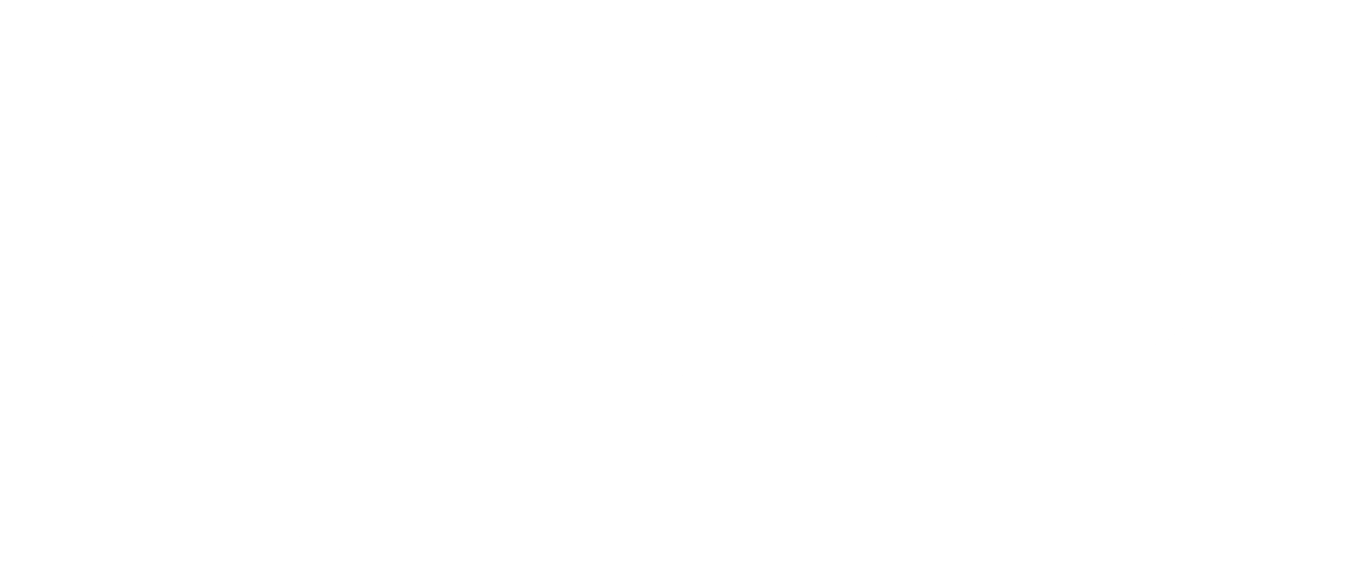 베르세르크 1기