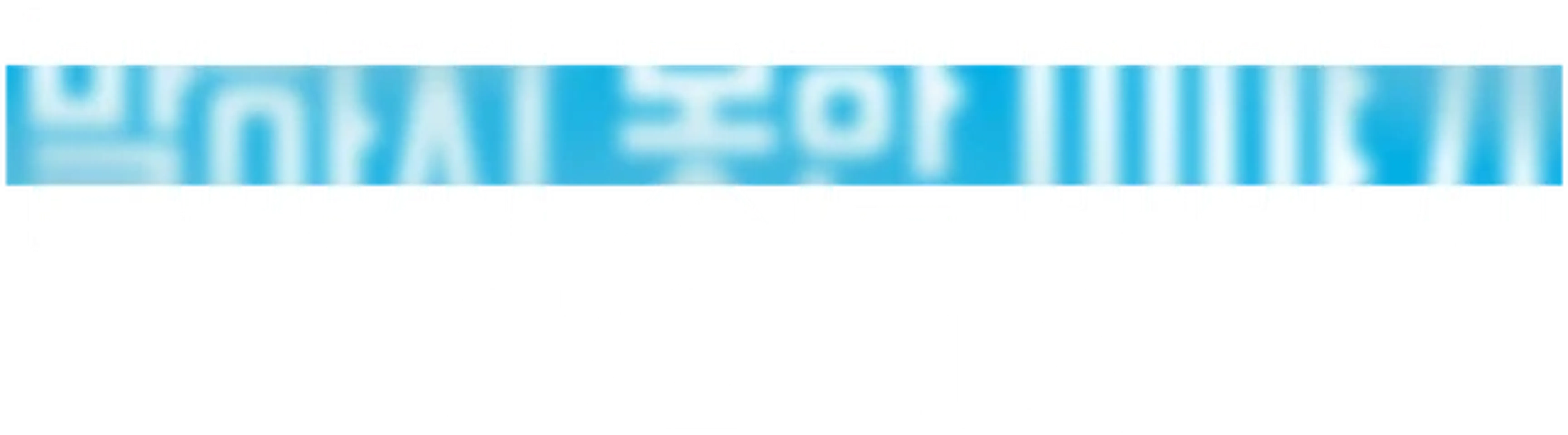 말하지 못한 이야기: 세기의 레이스