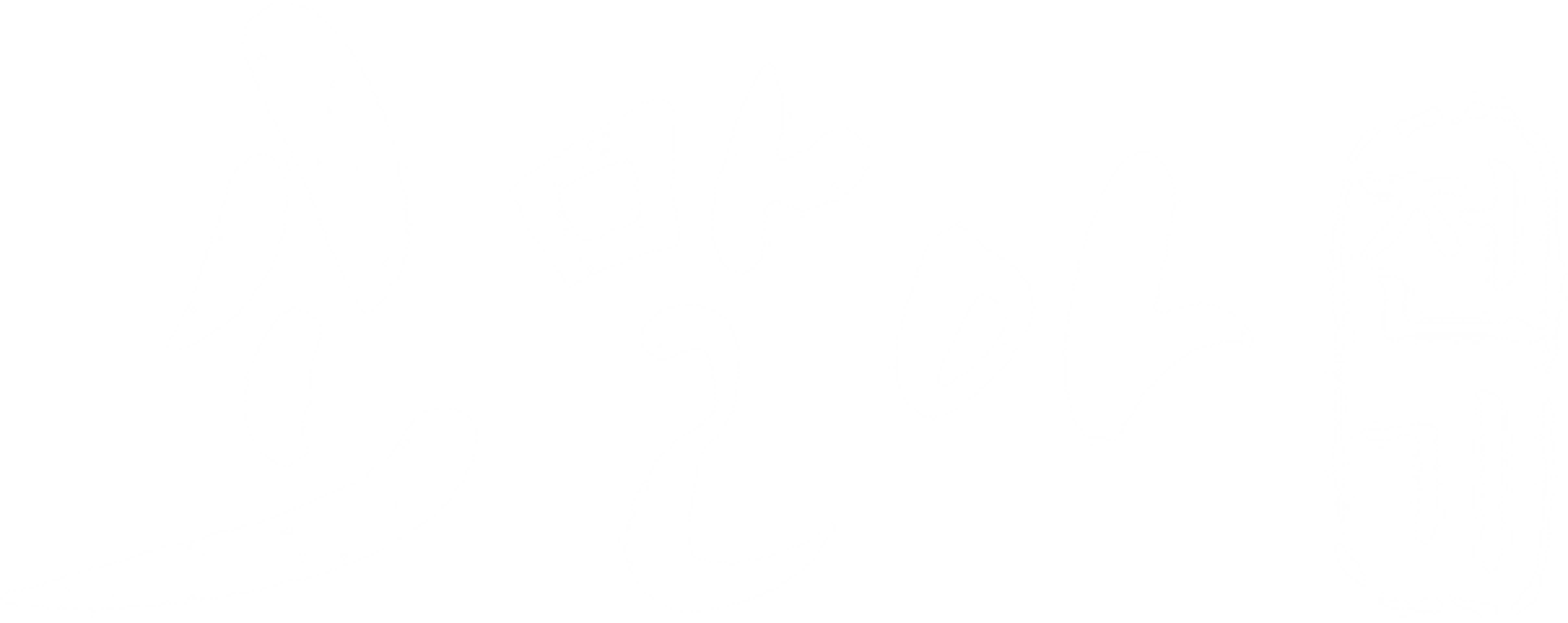 소말아전기