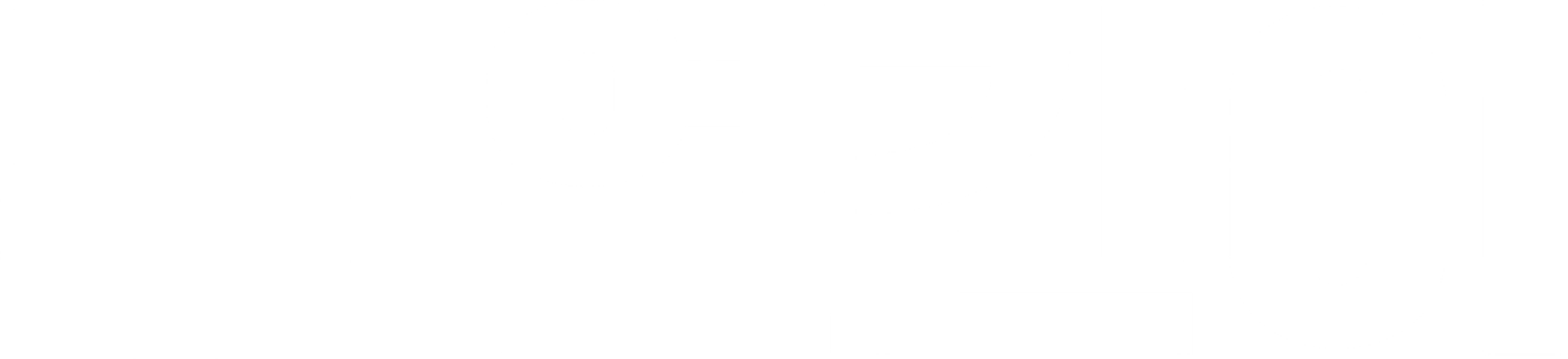 두 얼간이