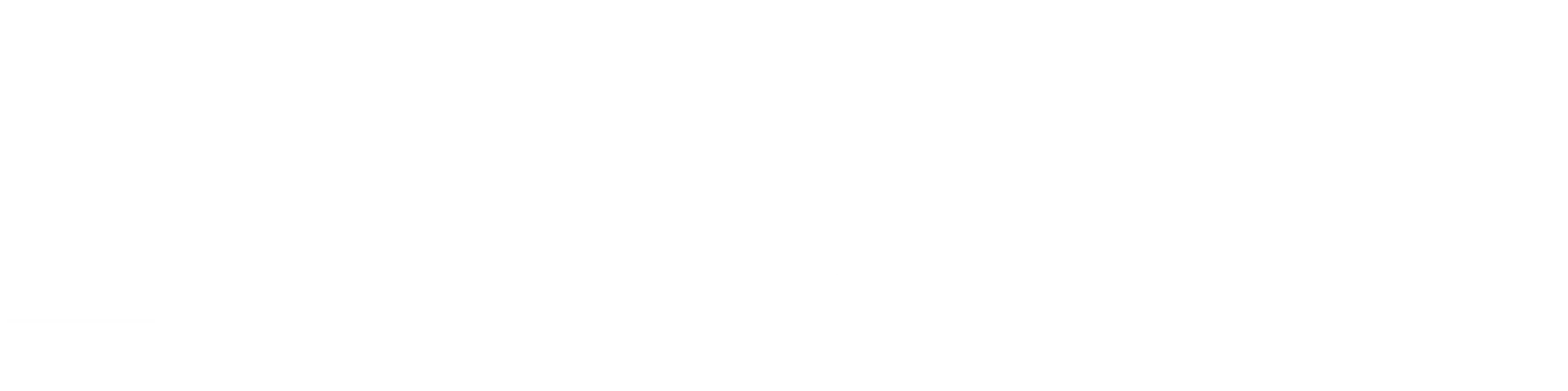 노이즈