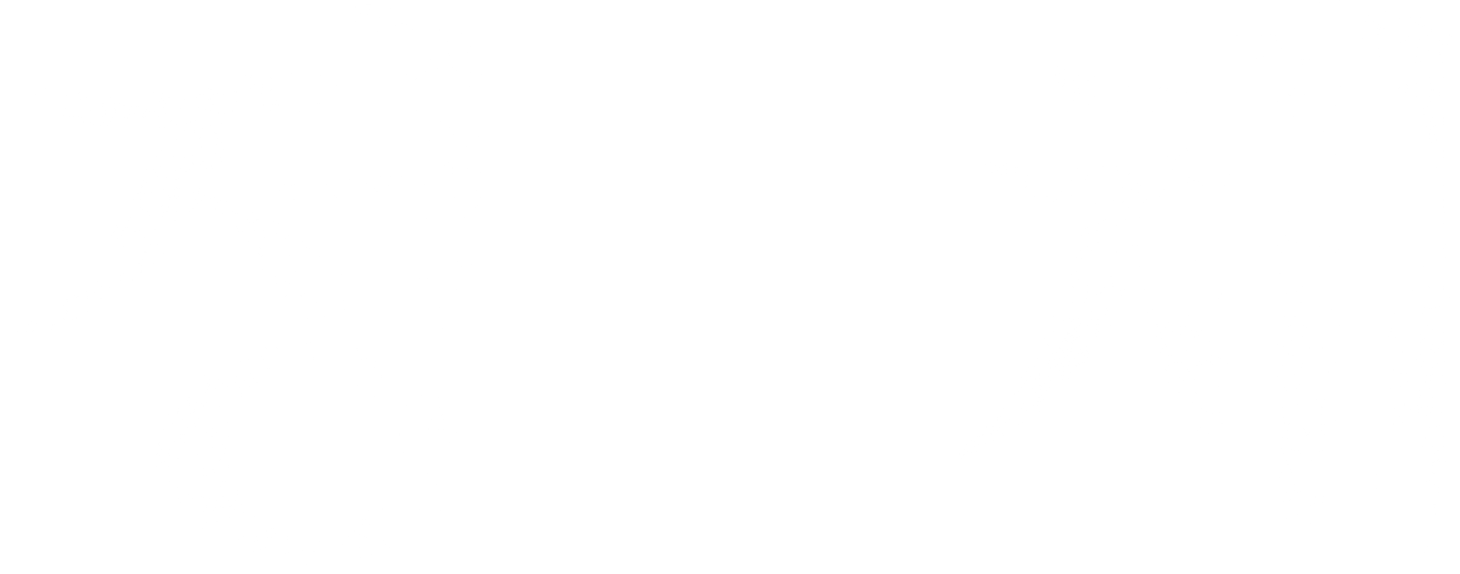 정체