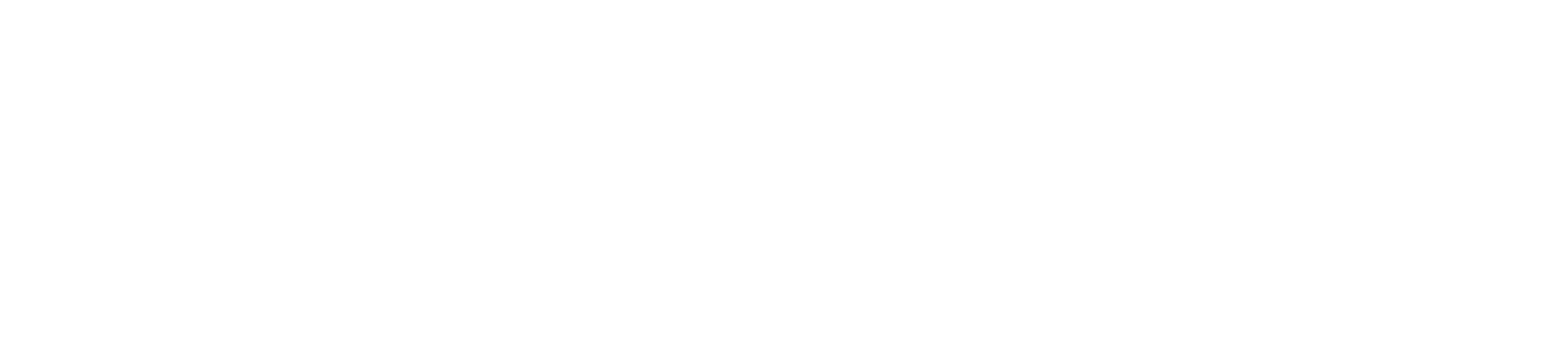 즐겁게 놀아보세