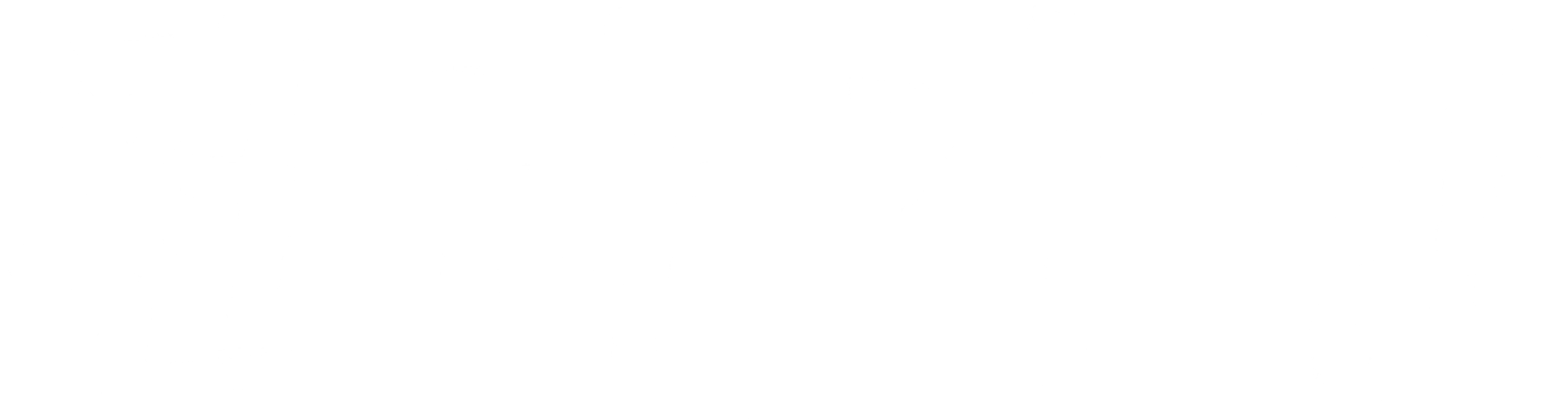 천라지망