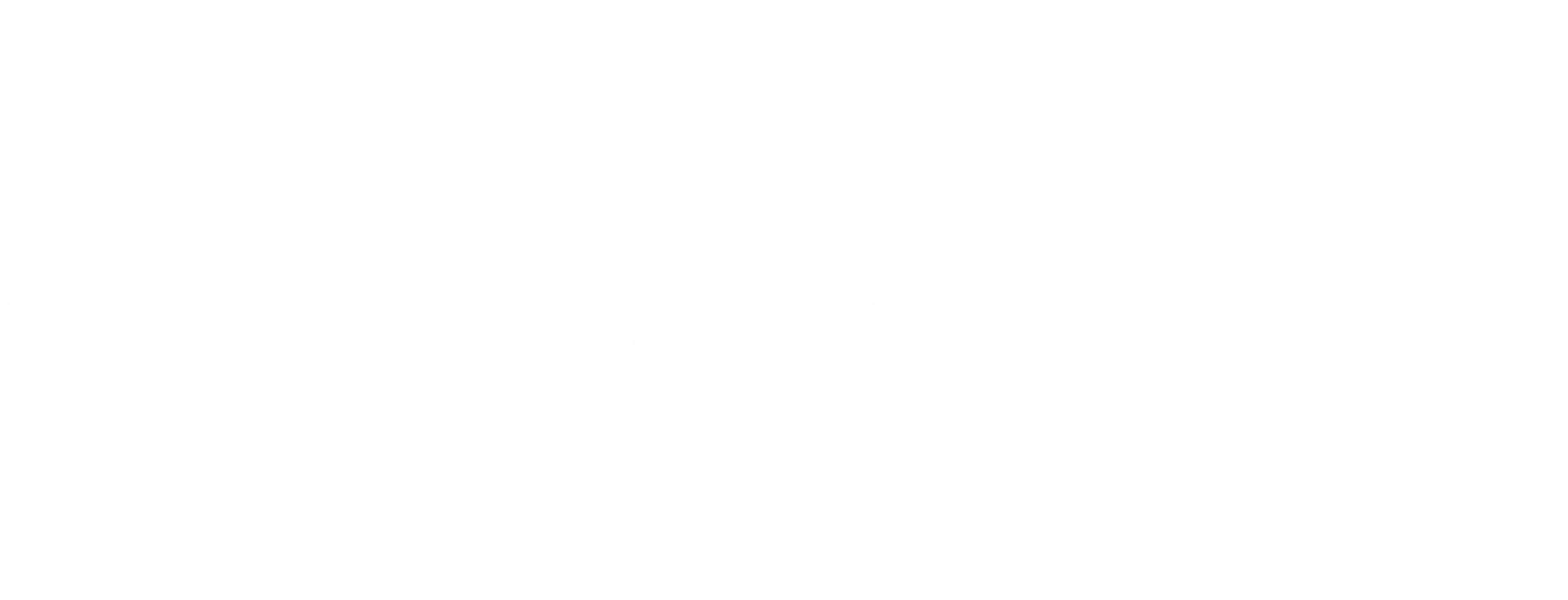 브레네 브라운: 나를 바꾸는 용기
