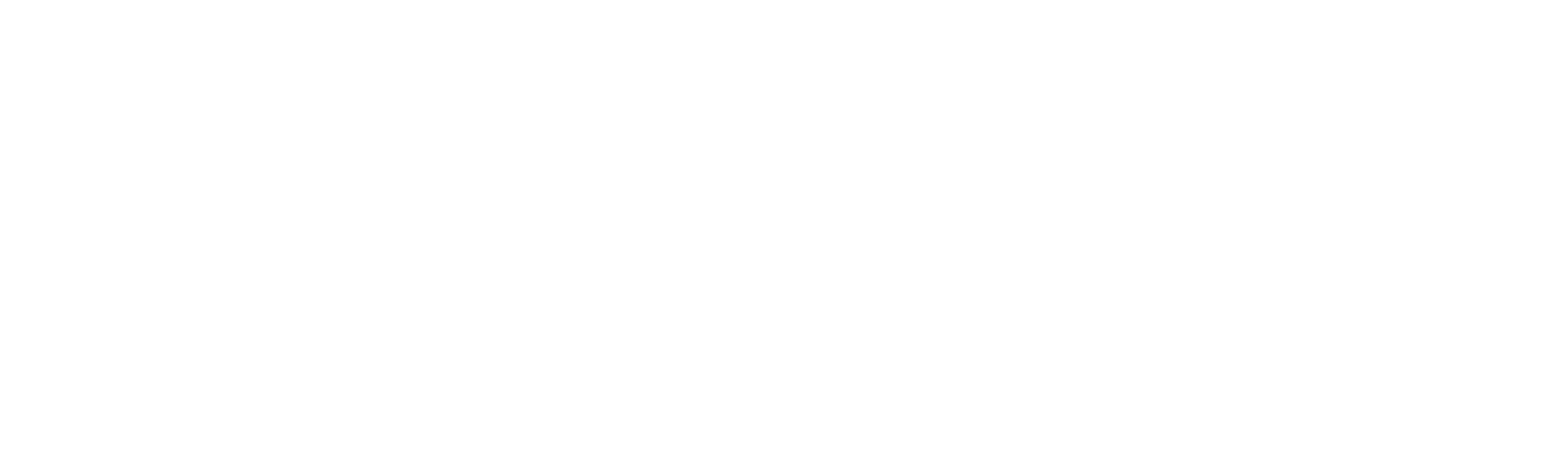 머털도사