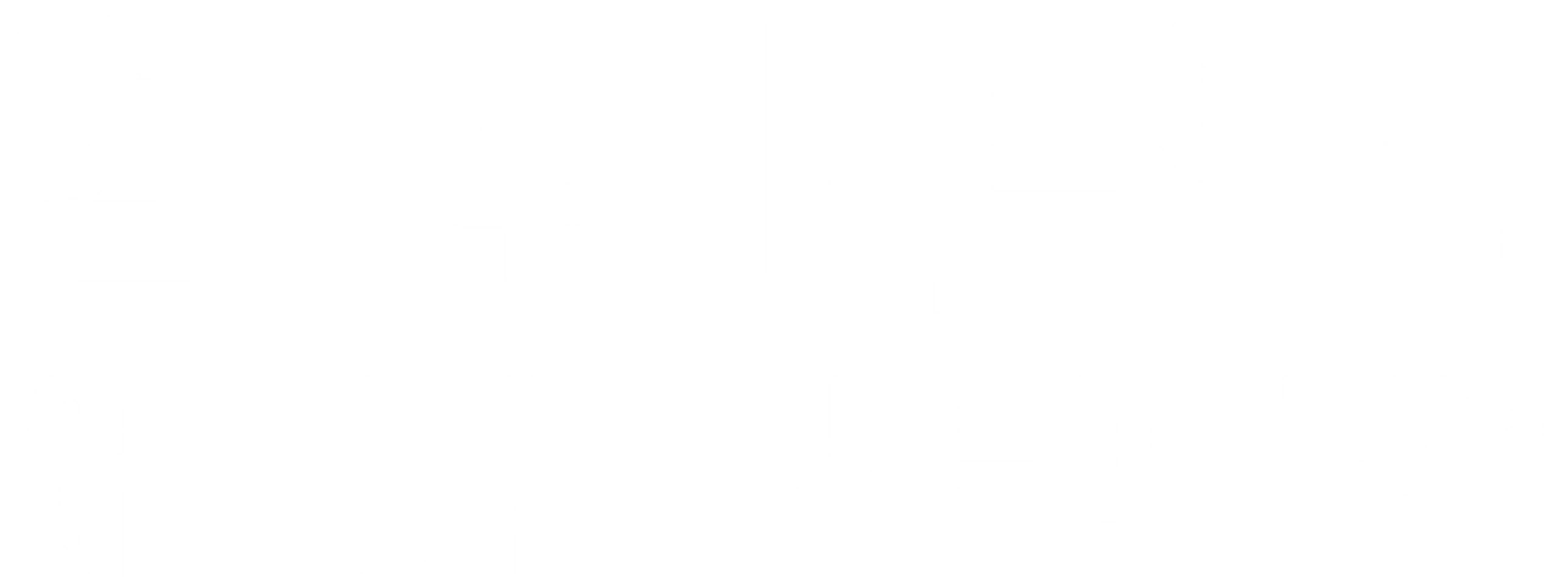 얼룩진 네트워크 - 어느 저널리스트의 죽음