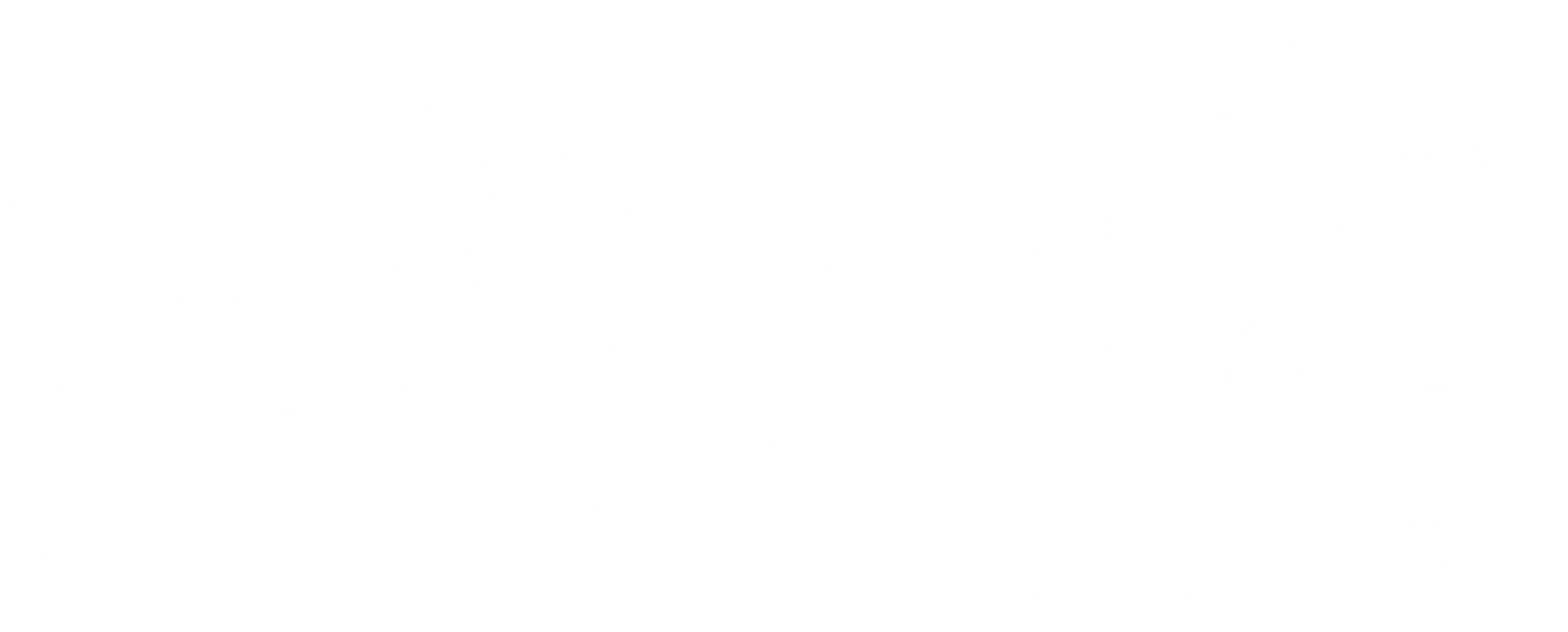 메이트