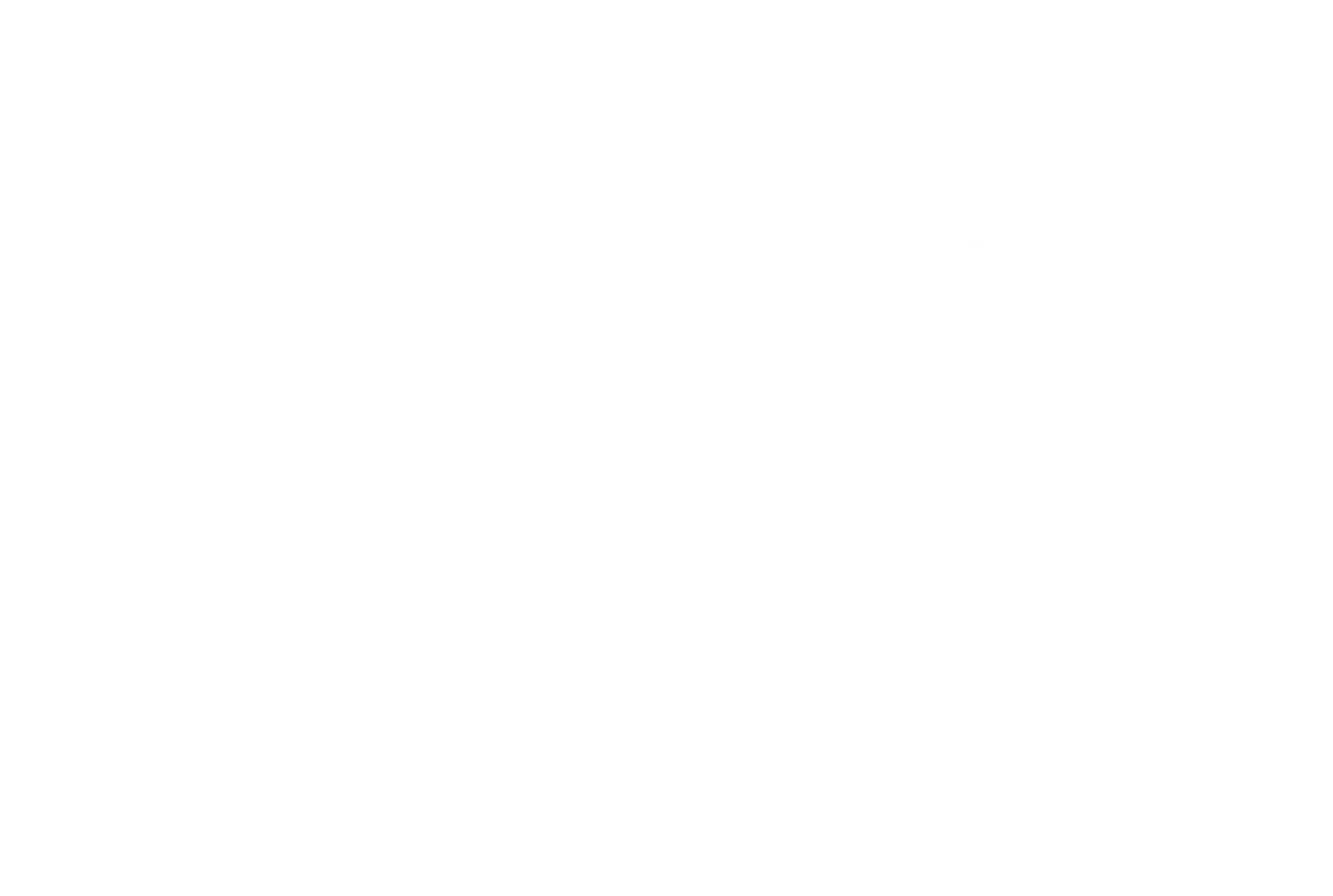 루도