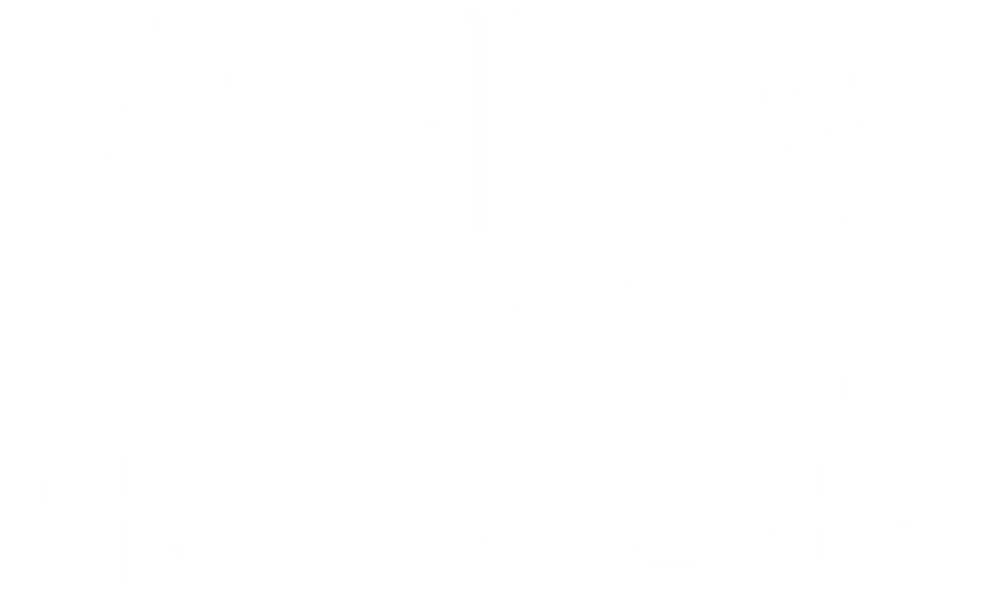 숀 멘데스: 라이브 인 콘서트