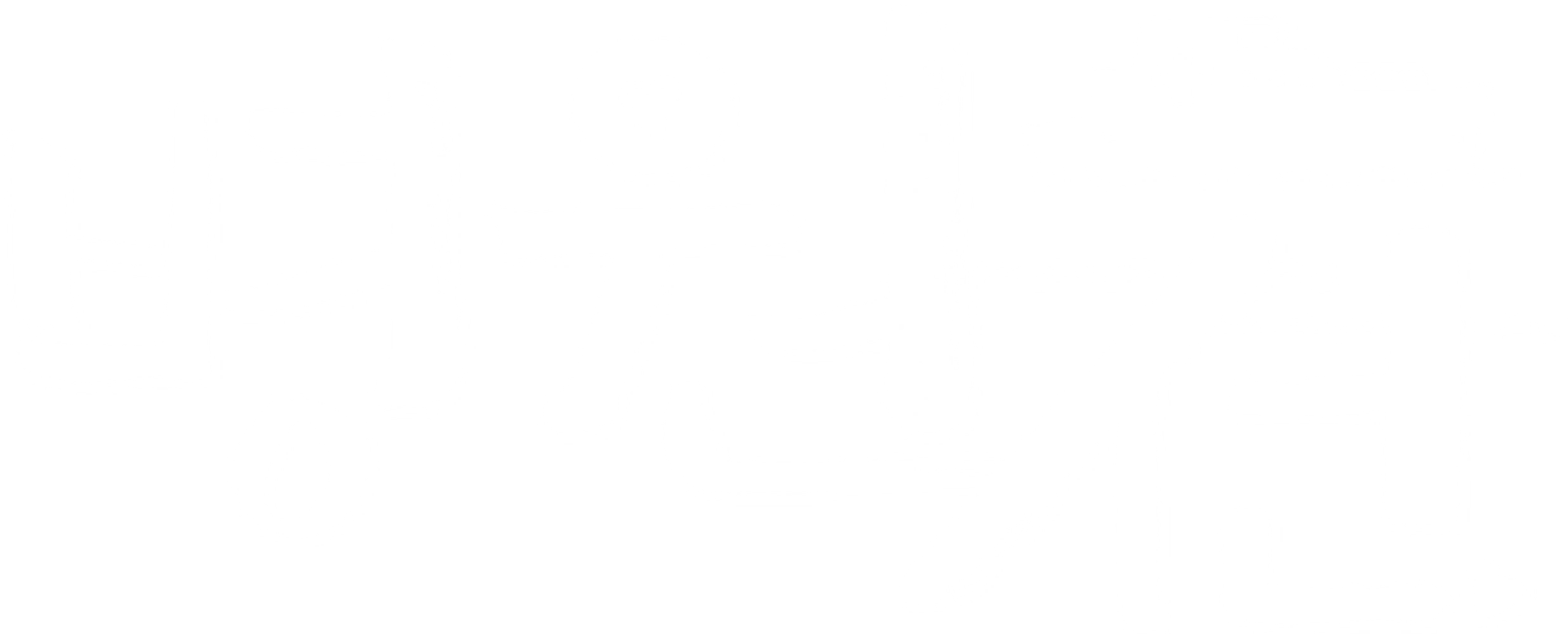 병원선