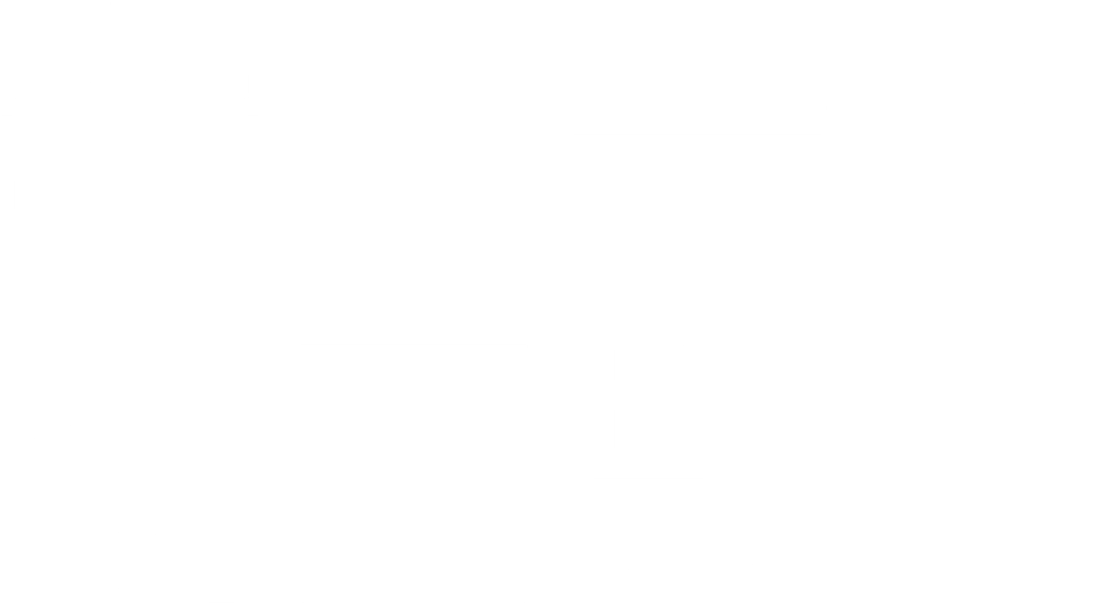 숙녀들의 하룻밤