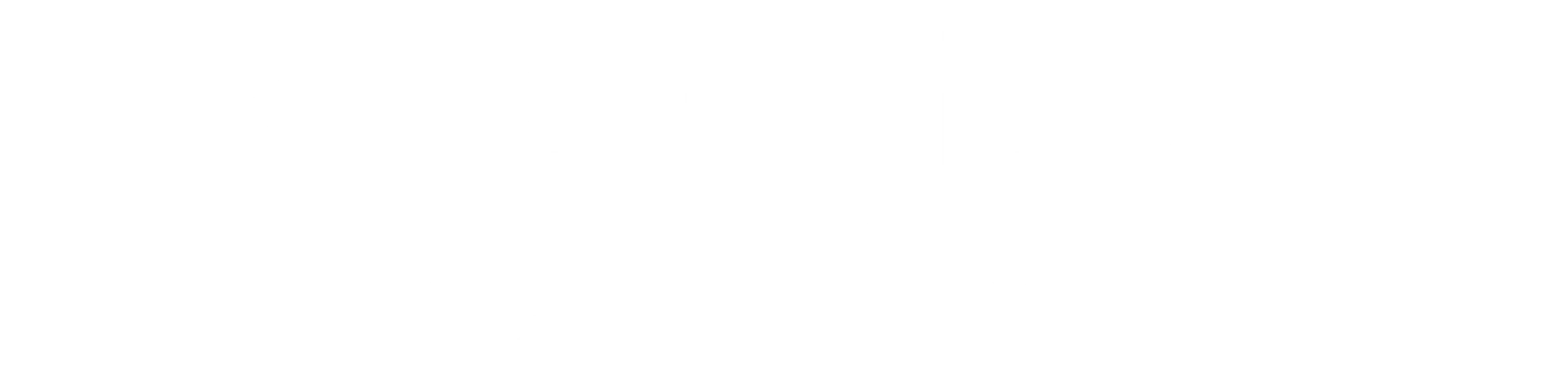 미스 아메리카나