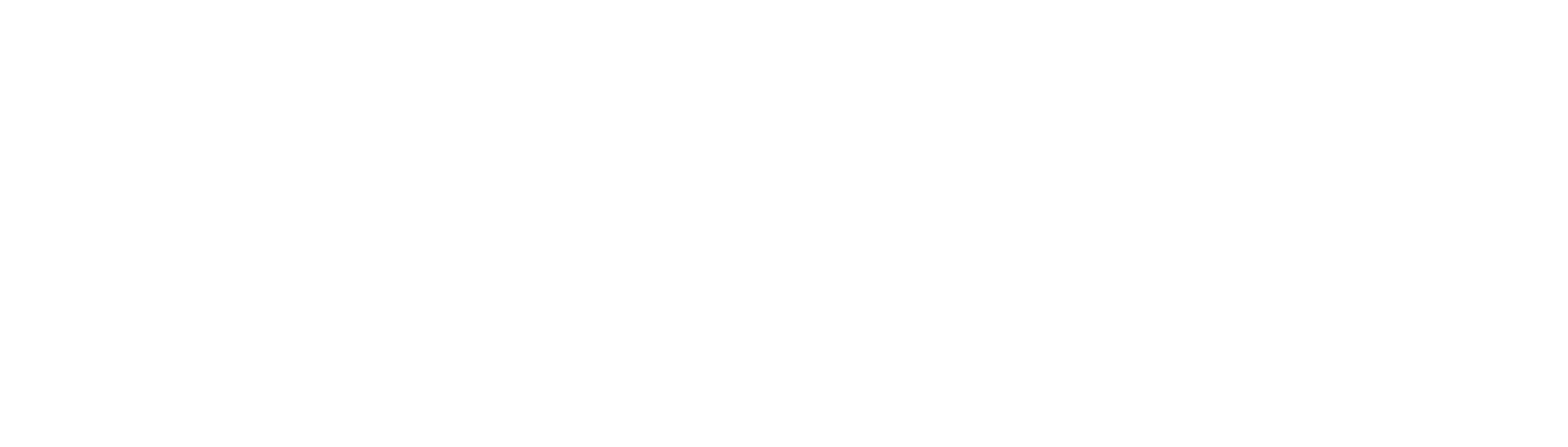 사람의 아들