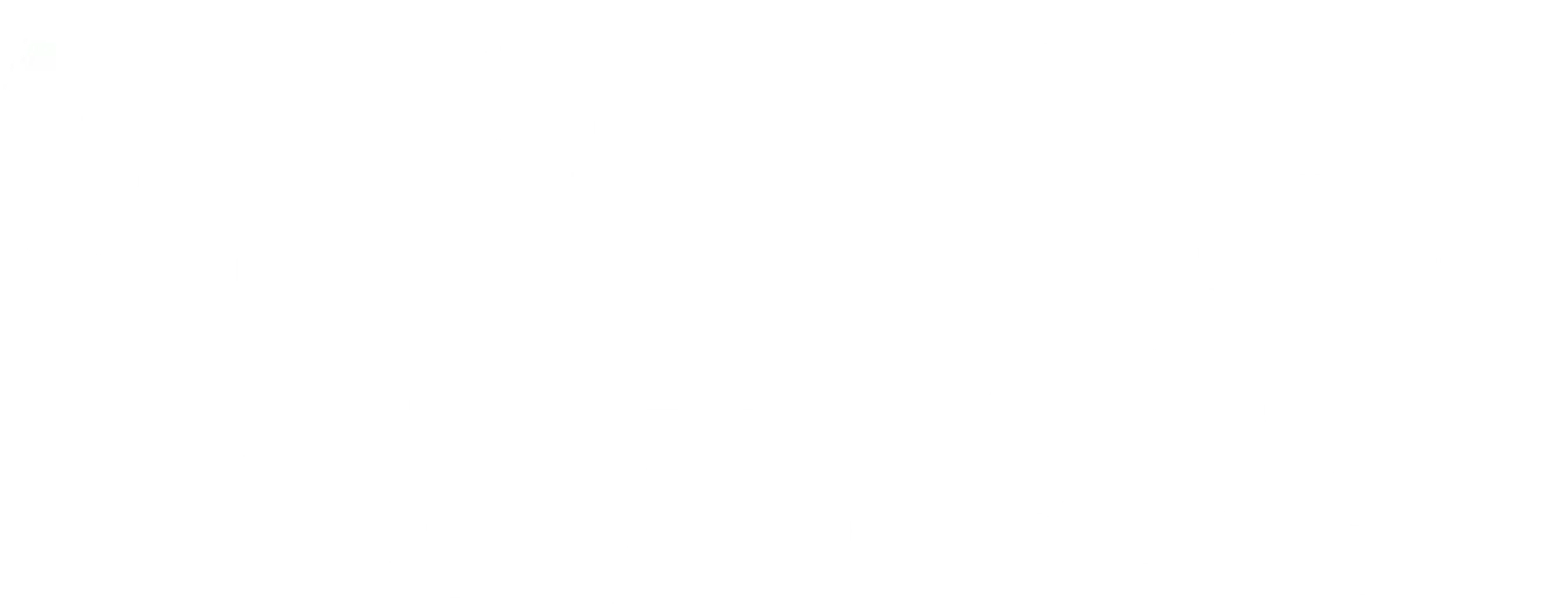 이벨린의 비범한 인생