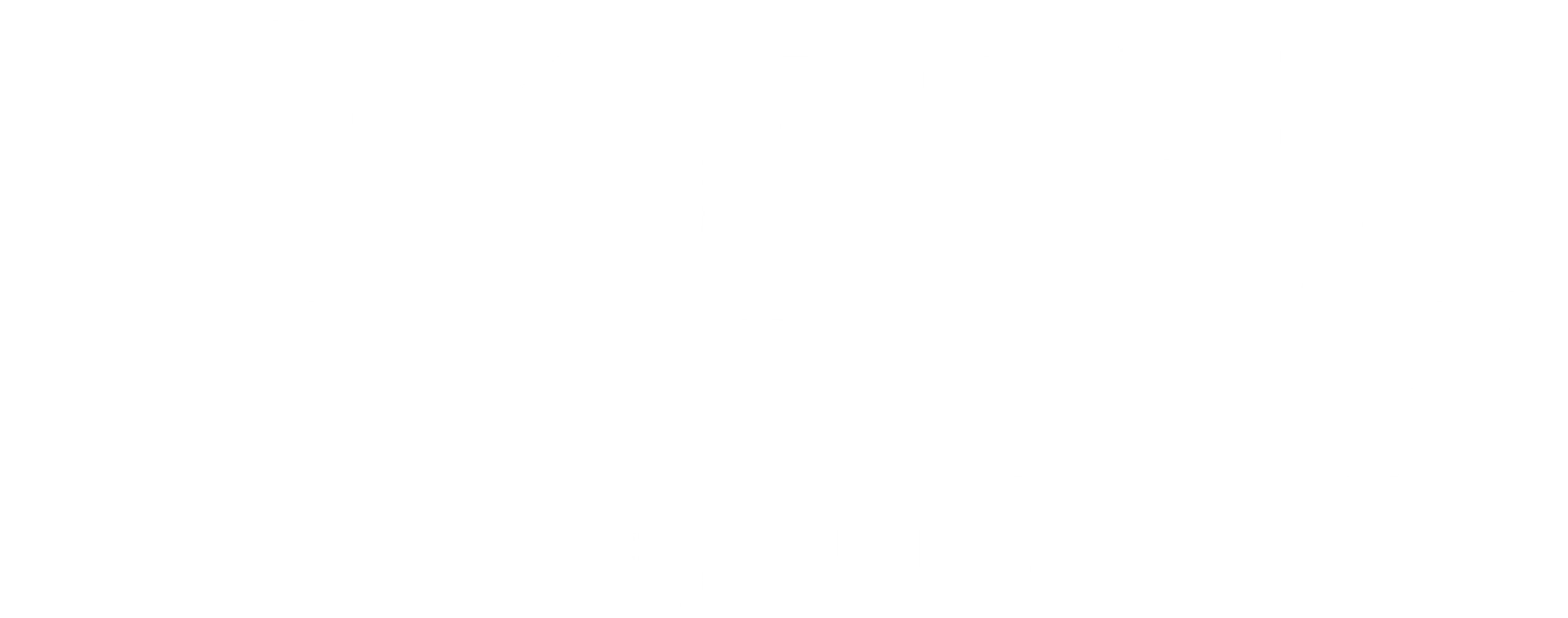 미스터 카 & 템플기사단