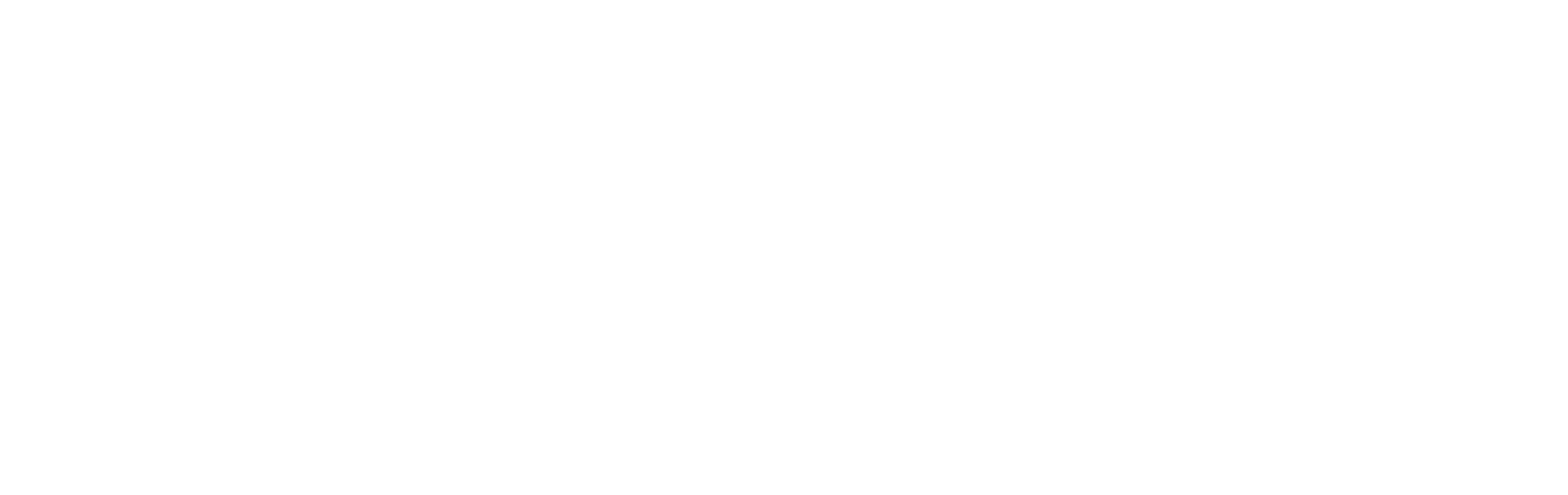그림자라 불리는 남자들