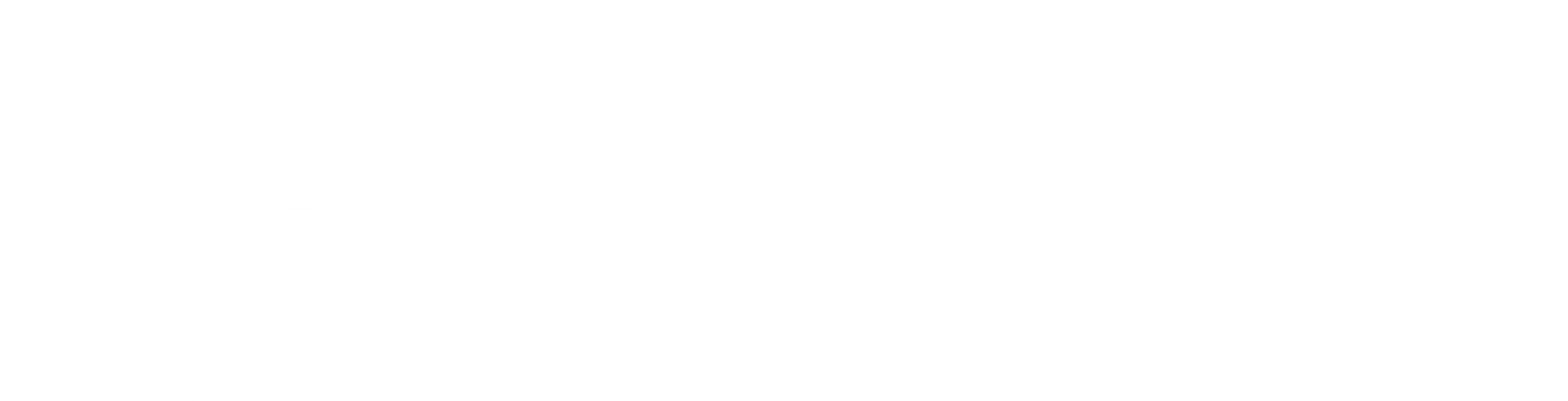 빅 스코어