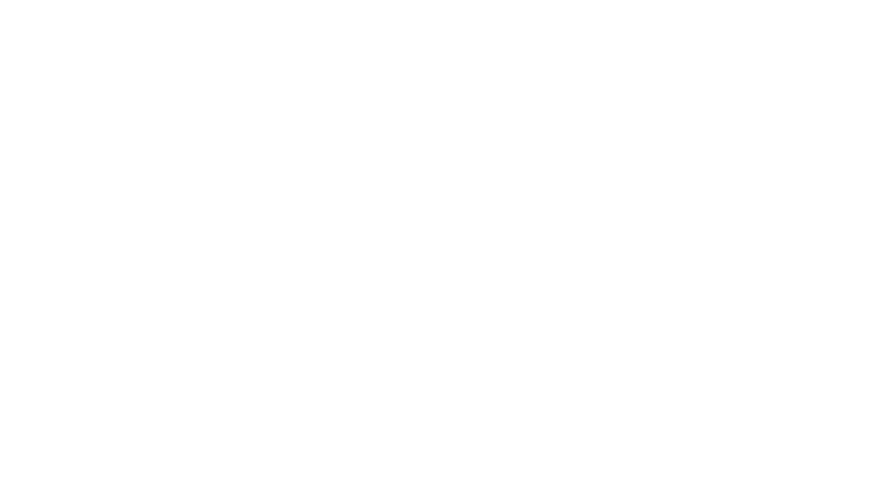 치어핏