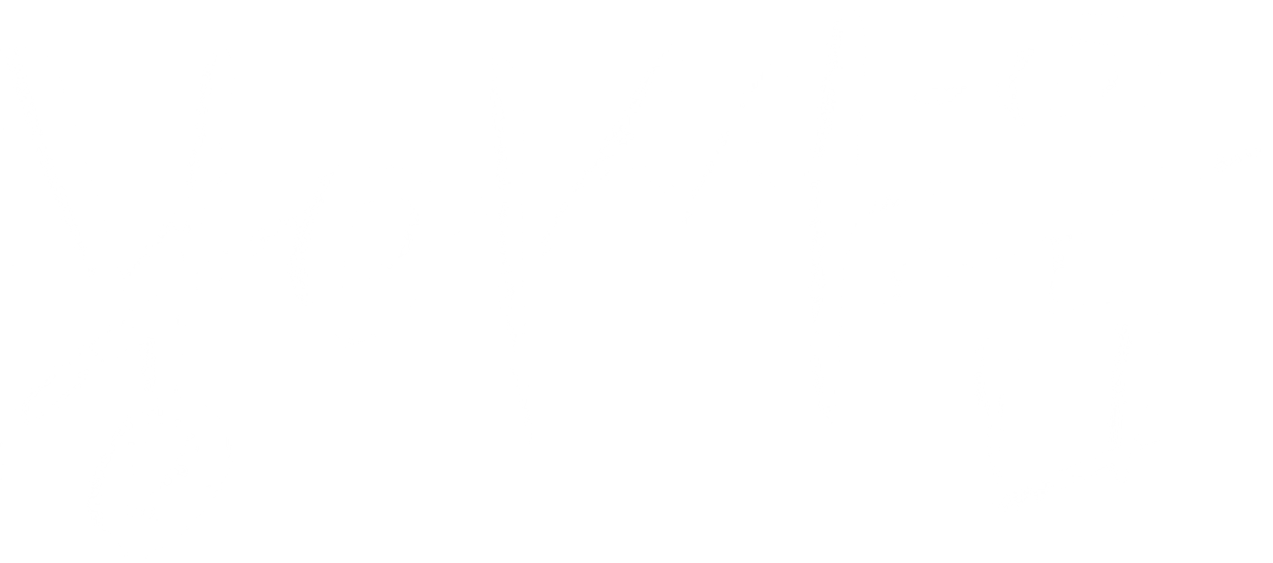 붕어싸움